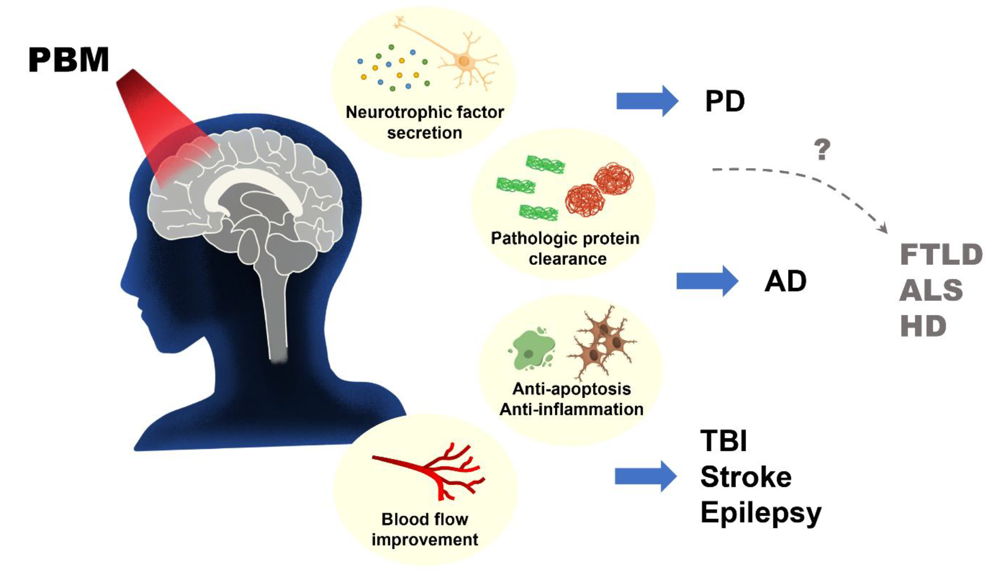 Biomedicines 11 01828 g004 Biomedicines 11 01828 g004