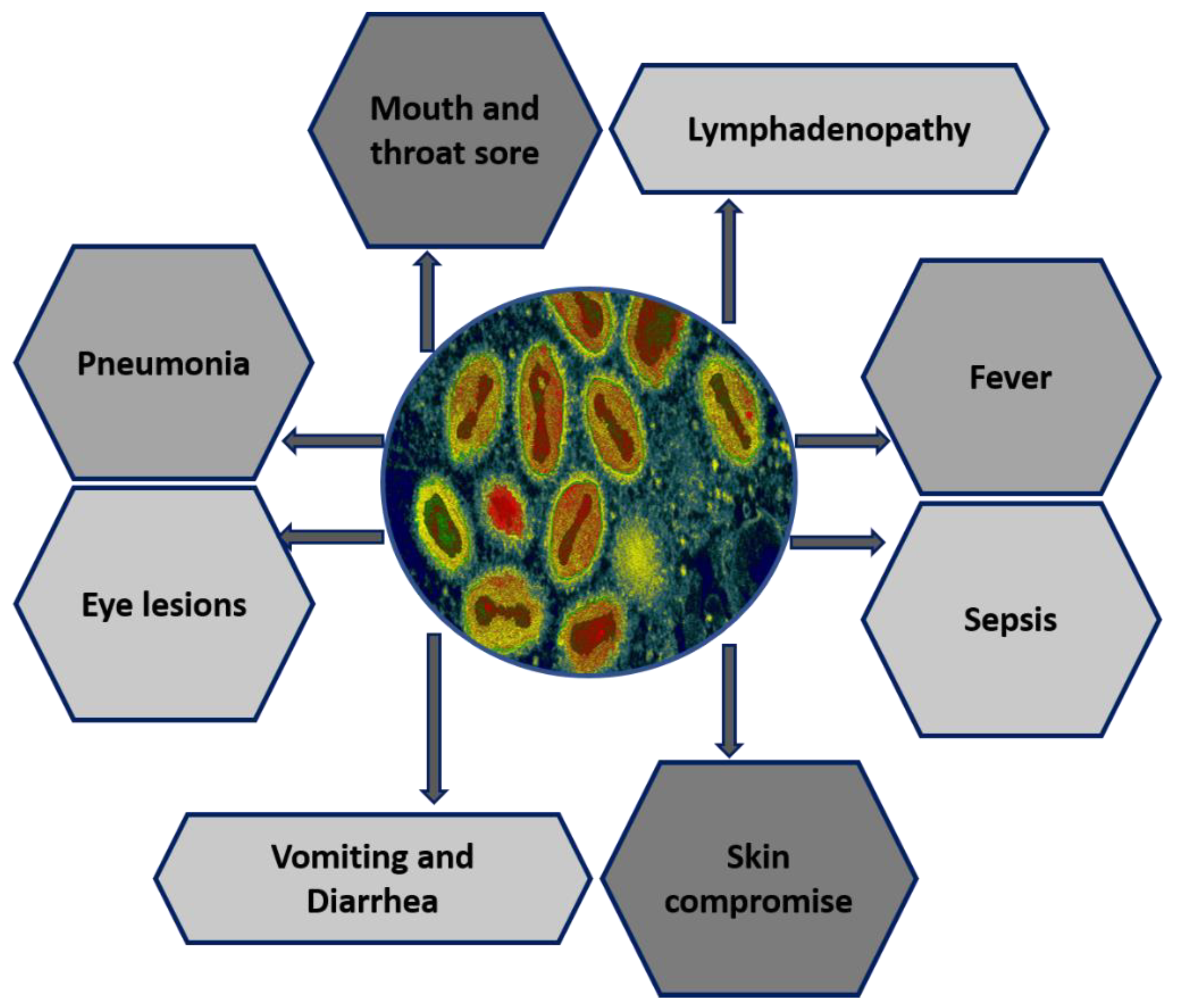 Biomedicines 11 01832 g001 Biomedicines 11 01832 g001