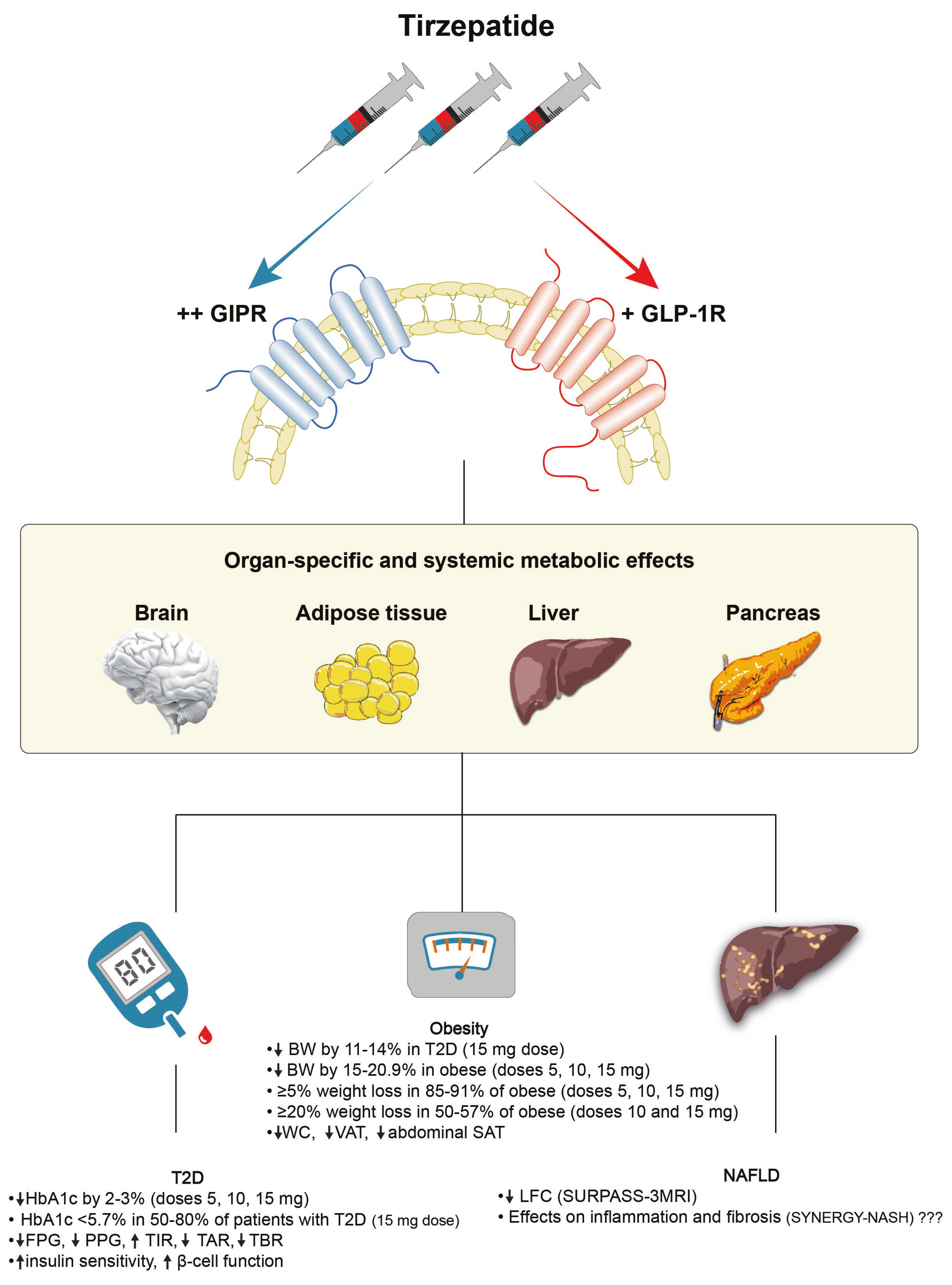 Tirzepatide Once Weekly for the Treatment of Obesity