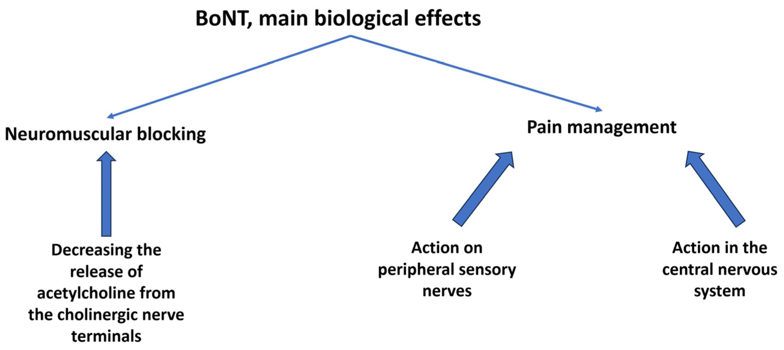 https://www.mdpi.com/biomedicines/biomedicines-11-01888/article_deploy/html/images/biomedicines-11-01888-g001.png