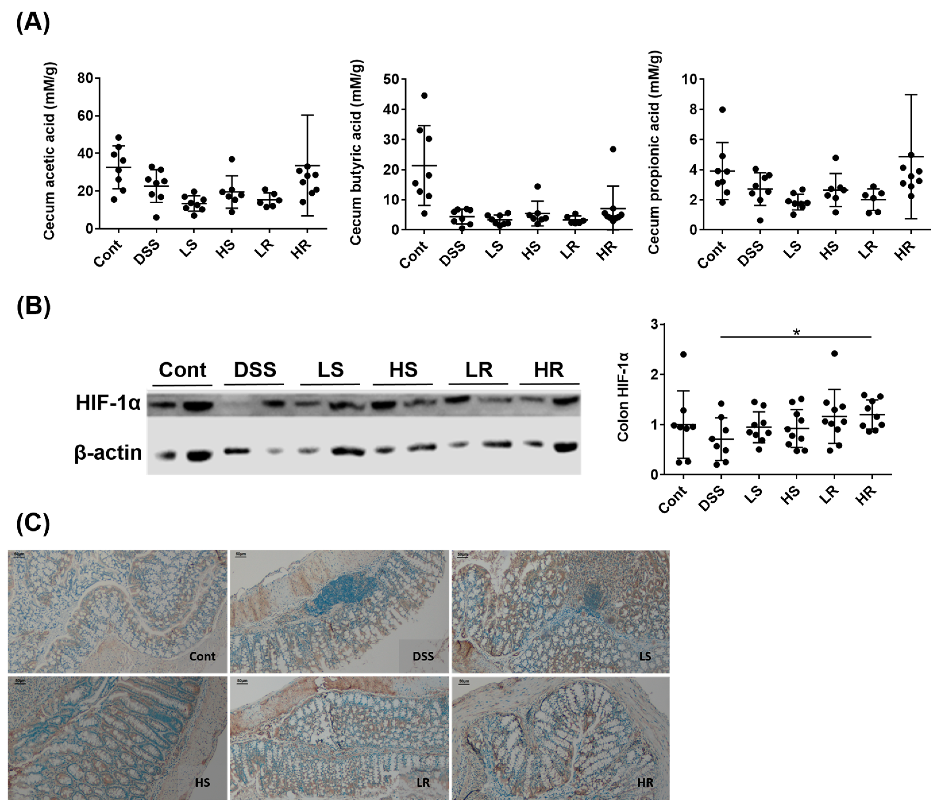 Biomedicines 11 01913 g004