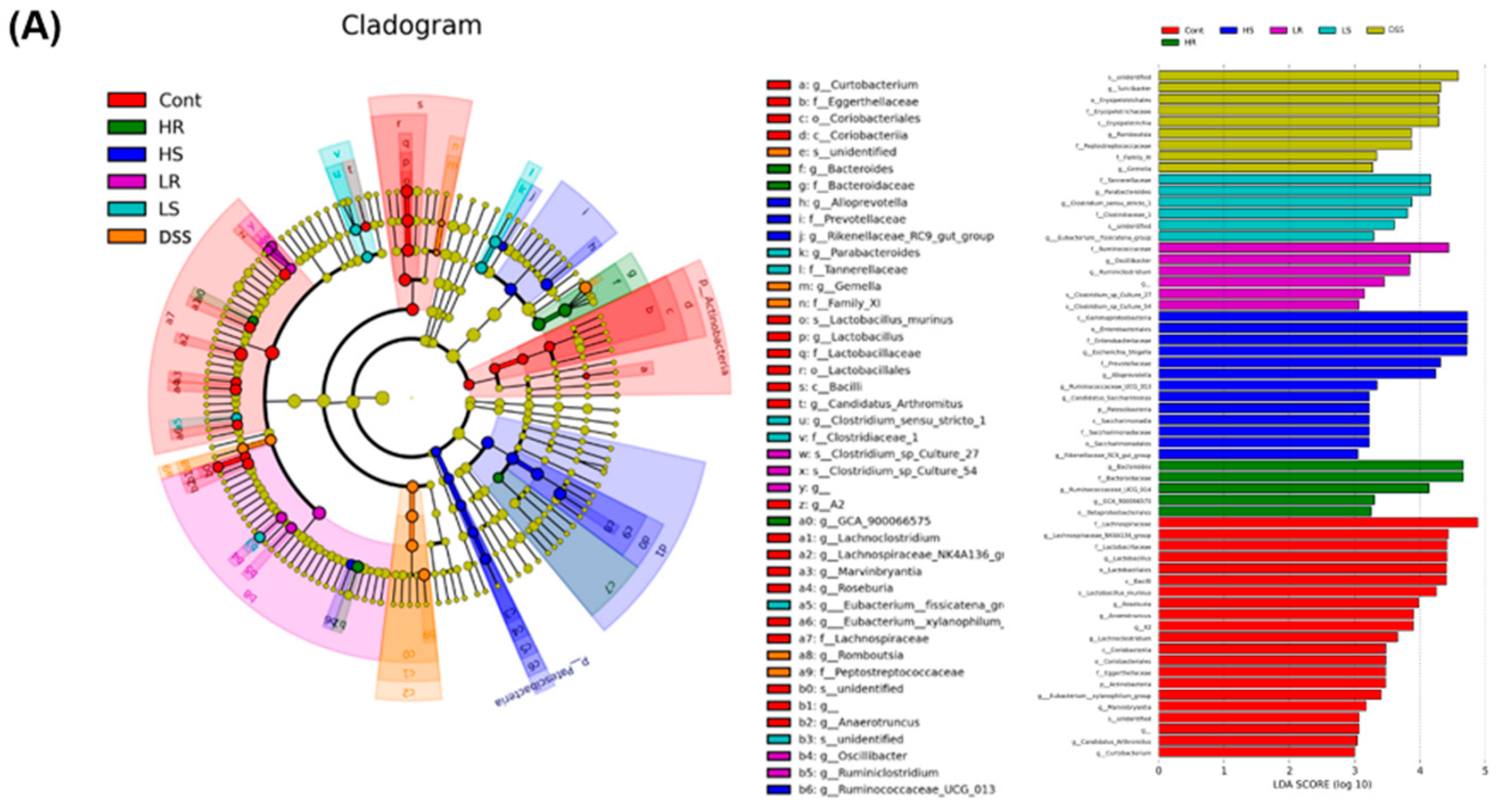 Biomedicines 11 01913 g005a