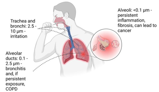 Overview of lunar dust toxicity risk