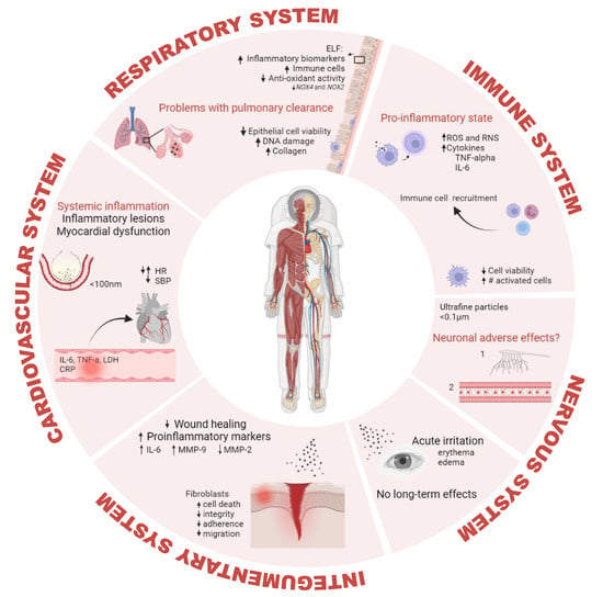 Biomedicines | Free Full-Text | A Dusty Road for Astronauts