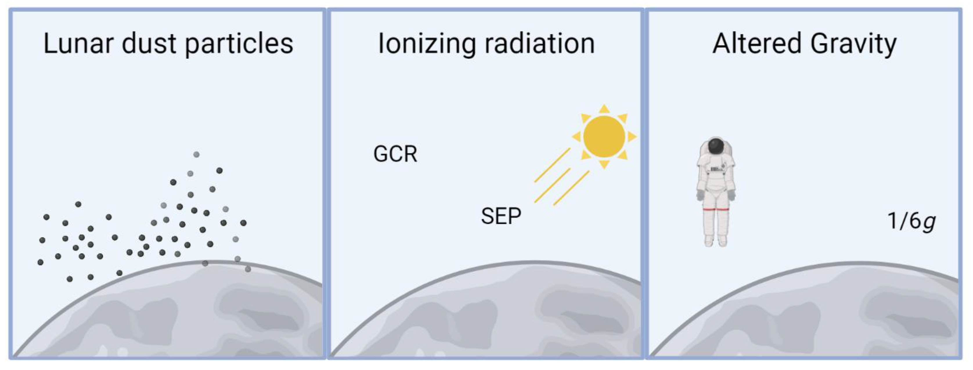 https://www.mdpi.com/biomedicines/biomedicines-11-01921/article_deploy/html/images/biomedicines-11-01921-g005.png