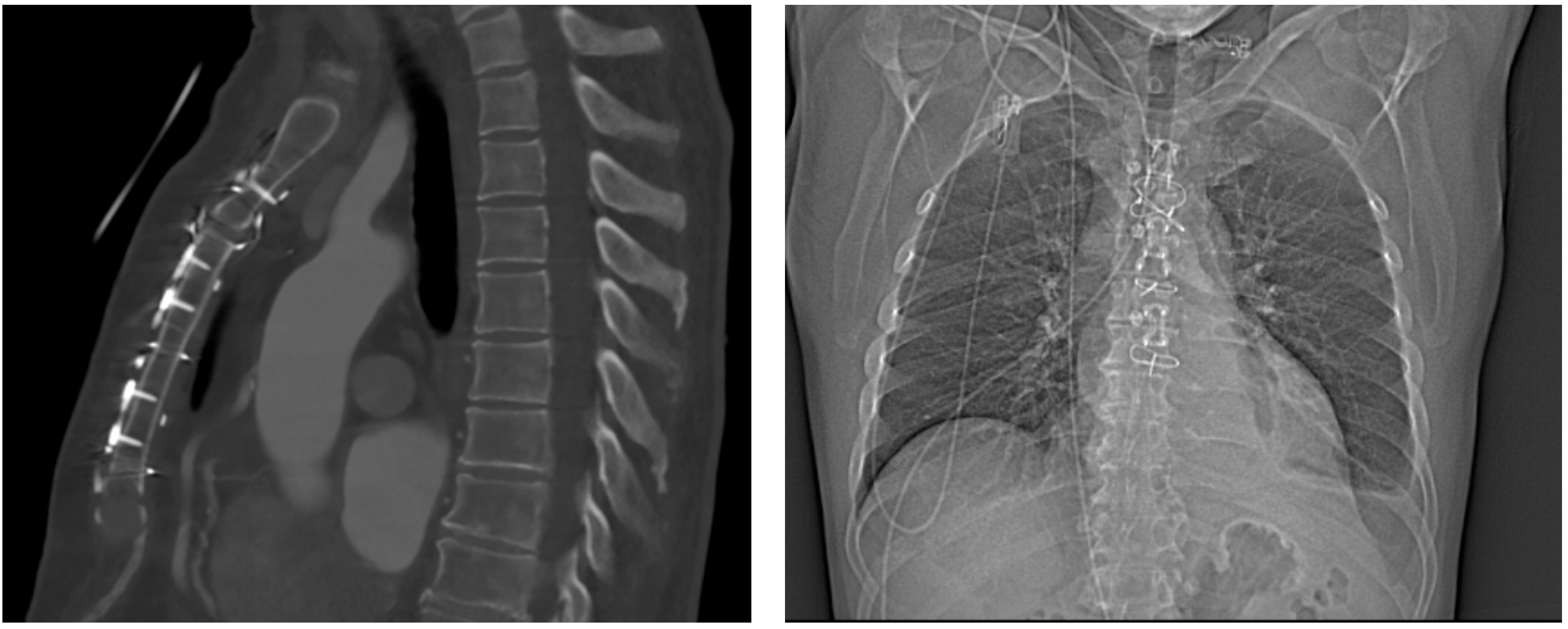 Biomedicines 11 01946 g005 Biomedicines 11 01946 g005