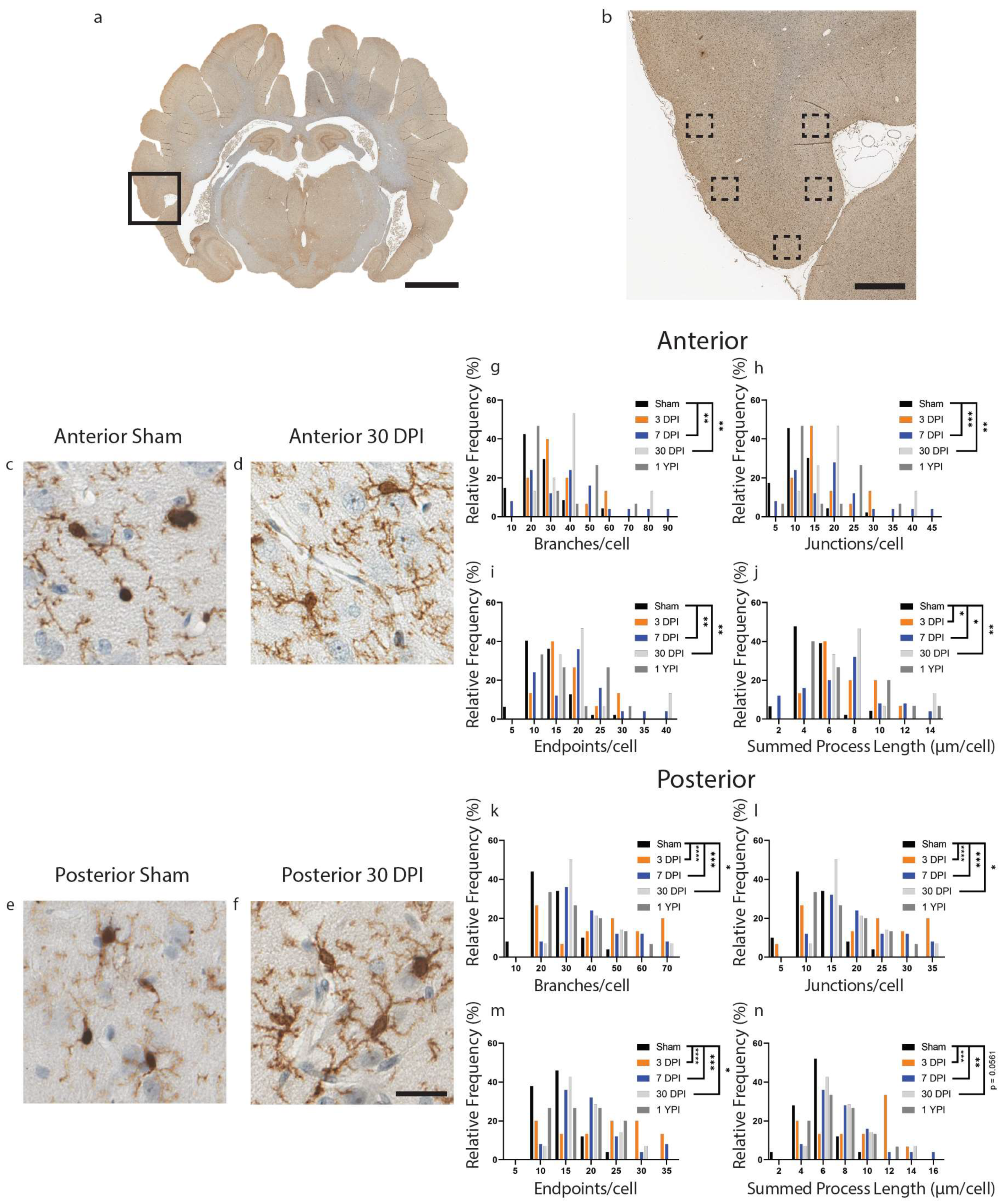Biomedicines 11 01960 g002