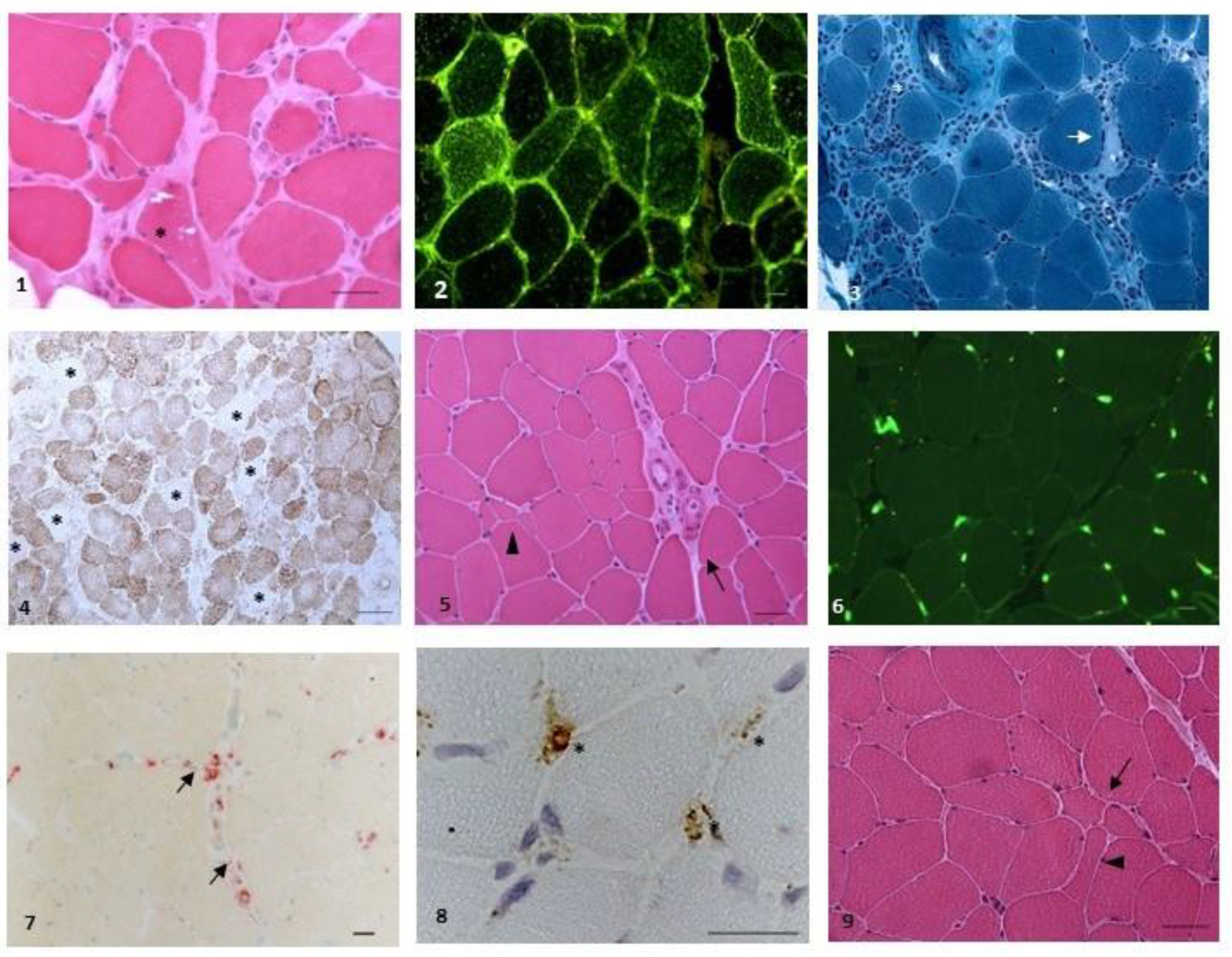 Biomedicines 11 01963 g002 Biomedicines 11 01963 g002
