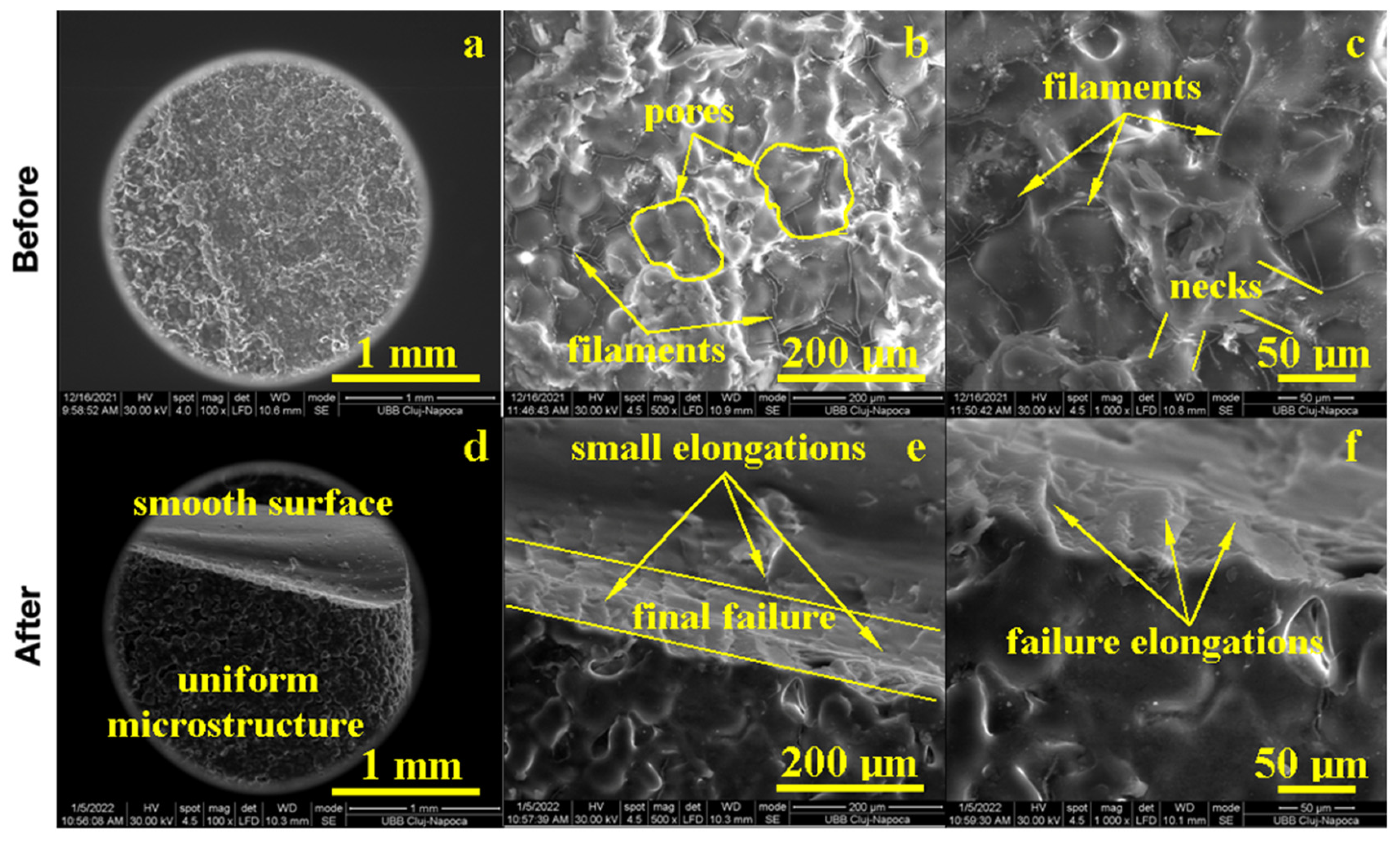 Biomedicines 11 01965 g005 Biomedicines 11 01965 g005