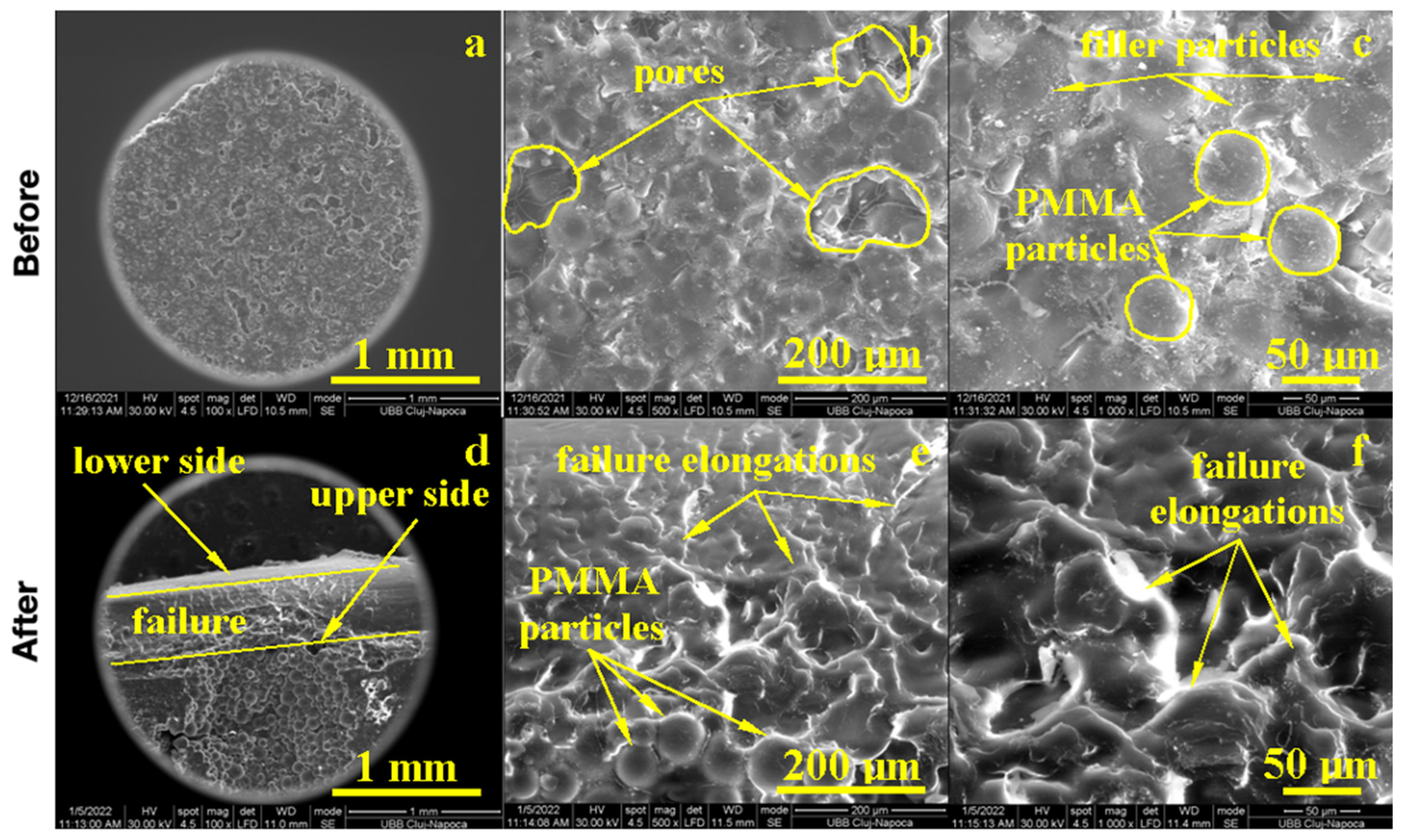 Biomedicines 11 01965 g006 Biomedicines 11 01965 g006