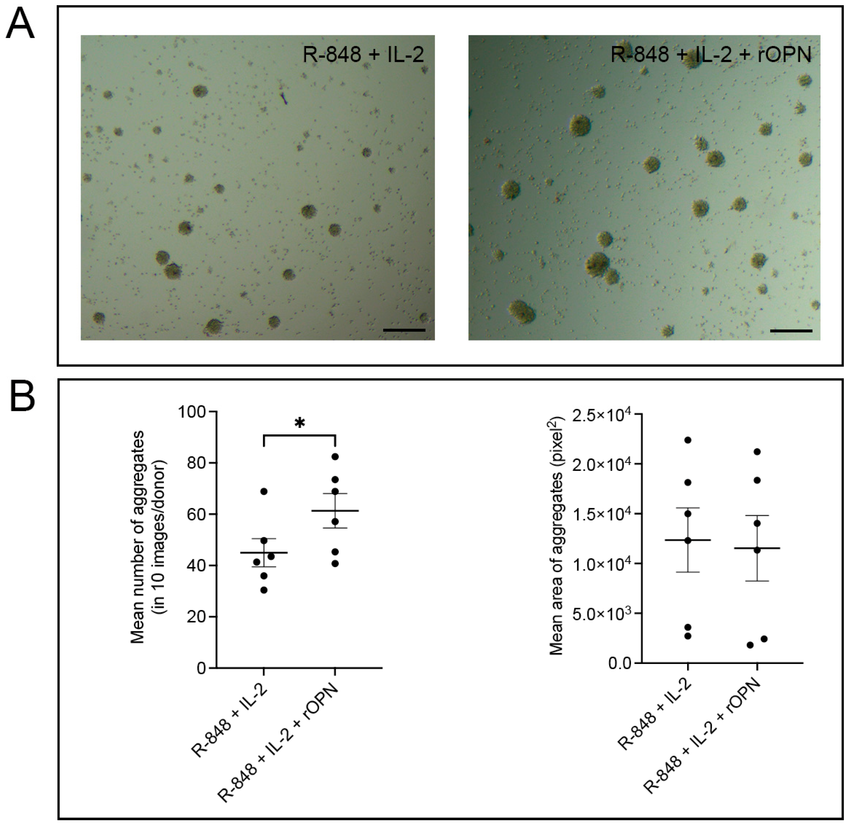 Biomedicines 11 01969 g004 Biomedicines 11 01969 g004