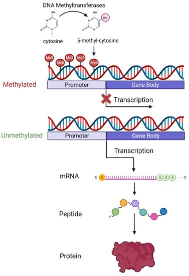 Biomedicines, Free Full-Text