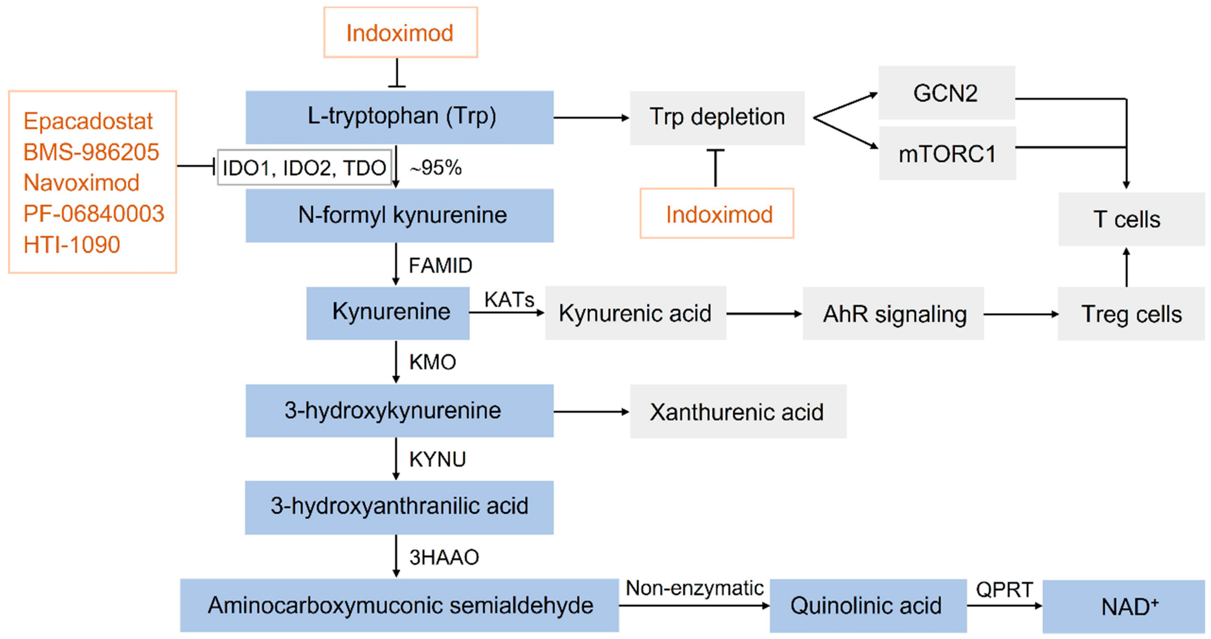Biomedicines 11 01988 g001 Biomedicines 11 01988 g001