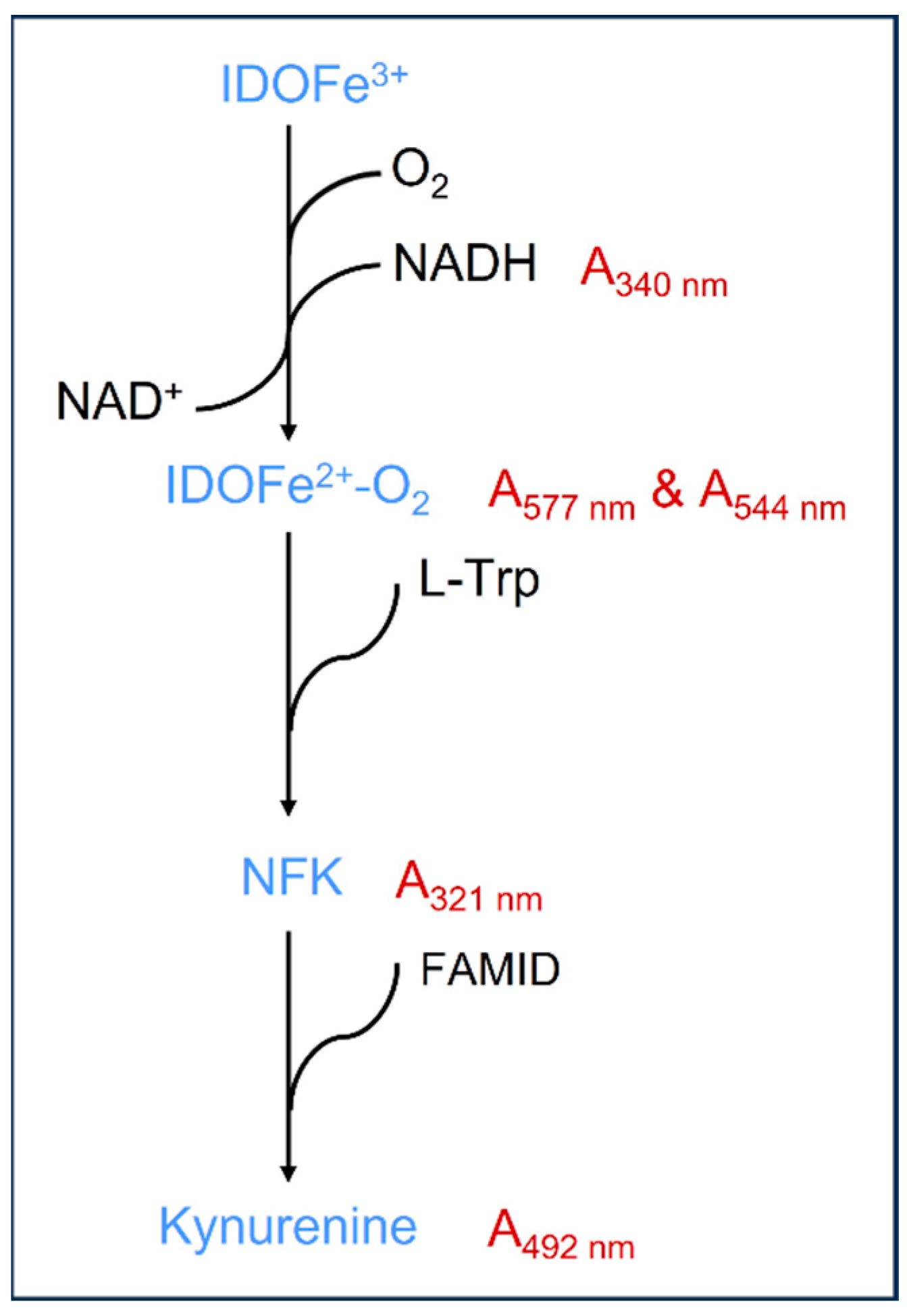 Biomedicines 11 01988 g003 Biomedicines 11 01988 g003