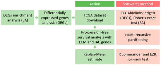 Biomedicines, Free Full-Text