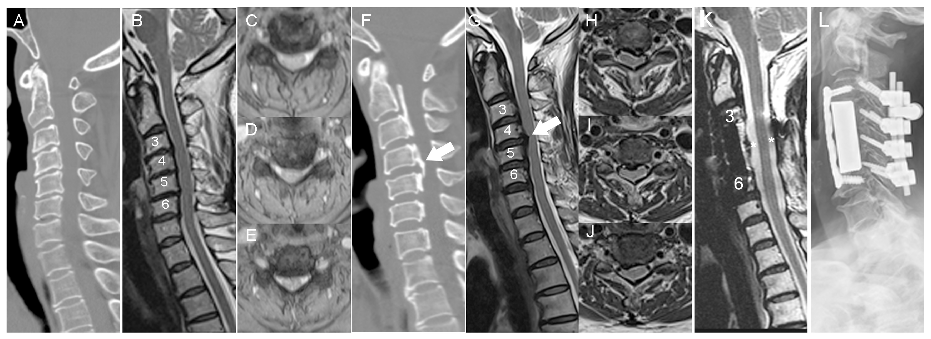 Biomedicines 11 02021 g001 Biomedicines 11 02021 g001