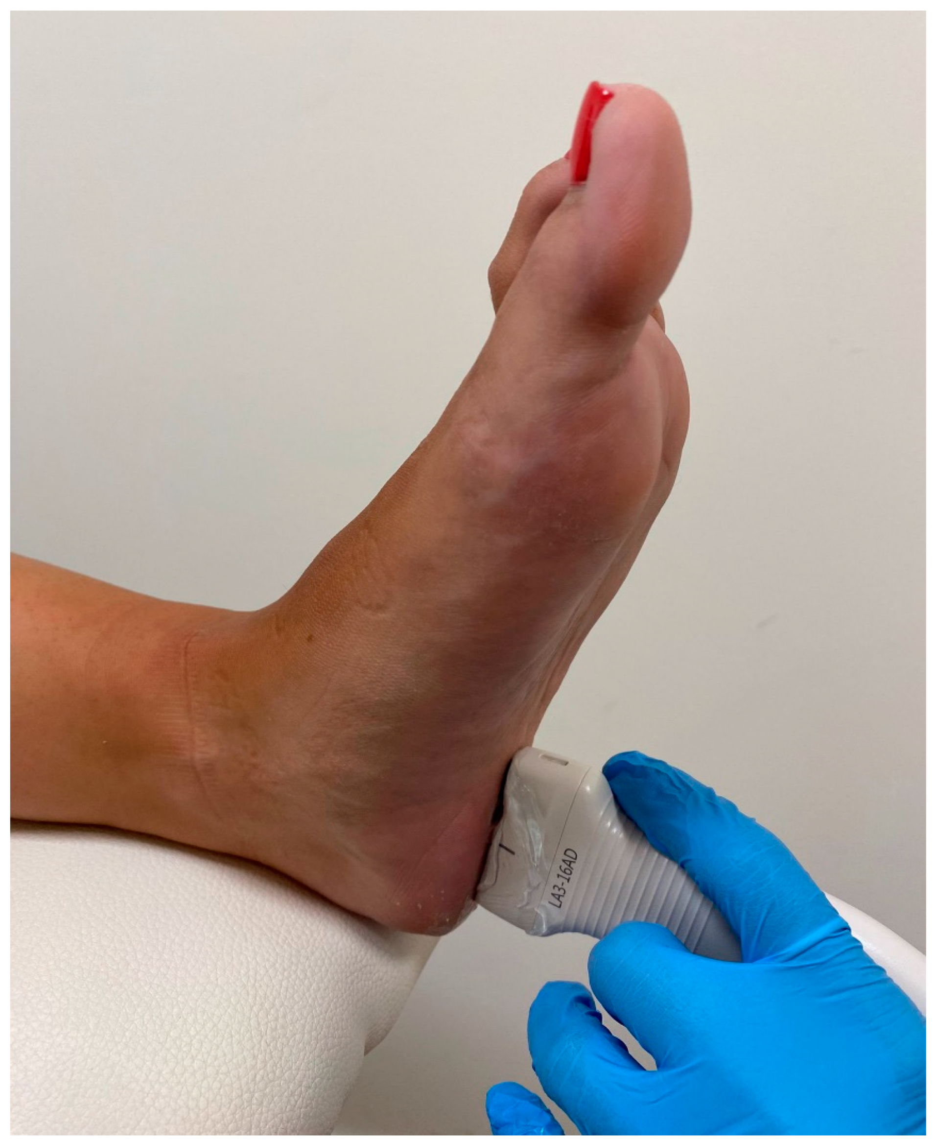 Biomedicines 11 02040 g002 Biomedicines 11 02040 g002