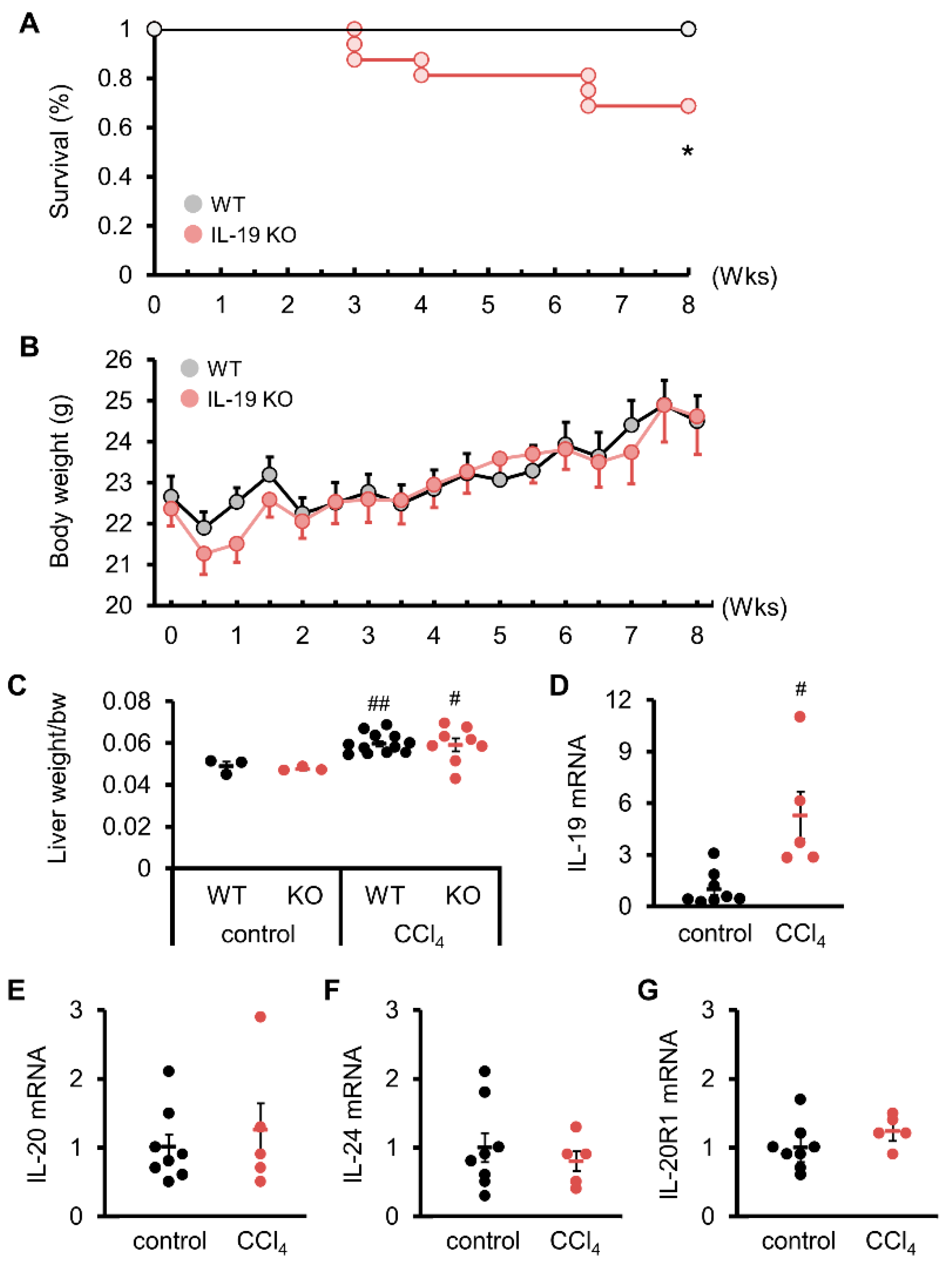 Biomedicines 11 02064 g001 Biomedicines 11 02064 g001