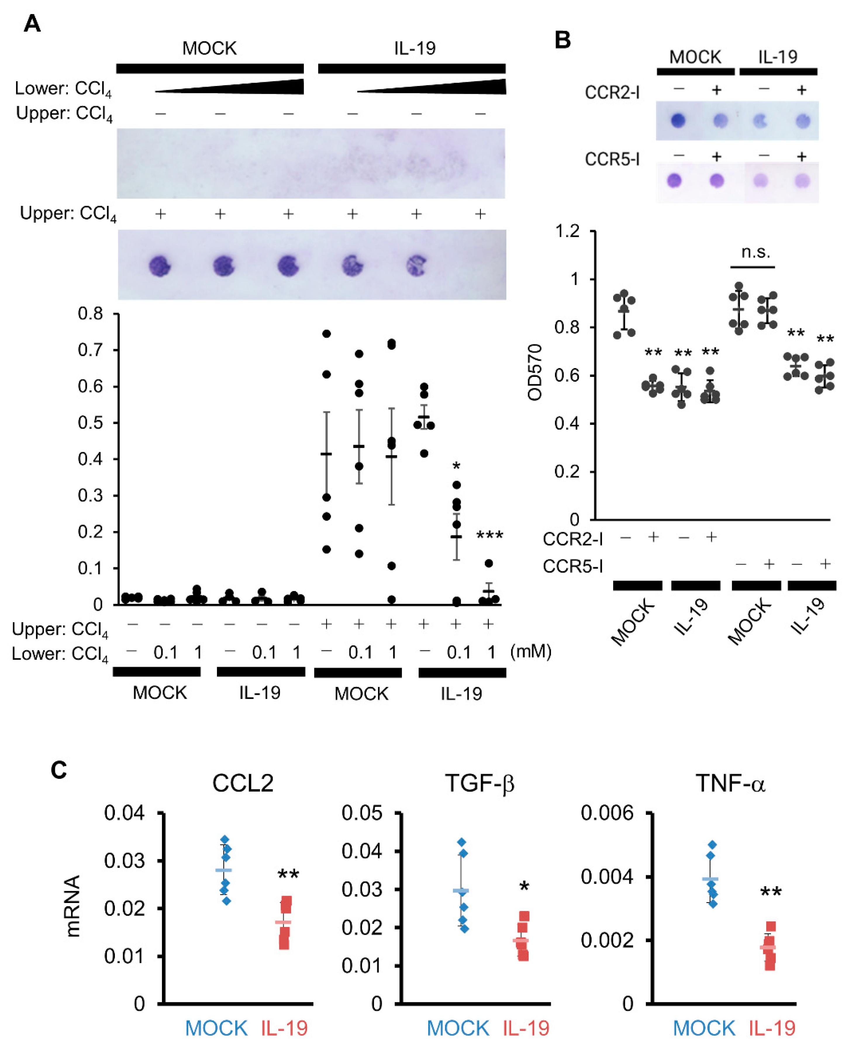 Biomedicines 11 02064 g007 Biomedicines 11 02064 g007