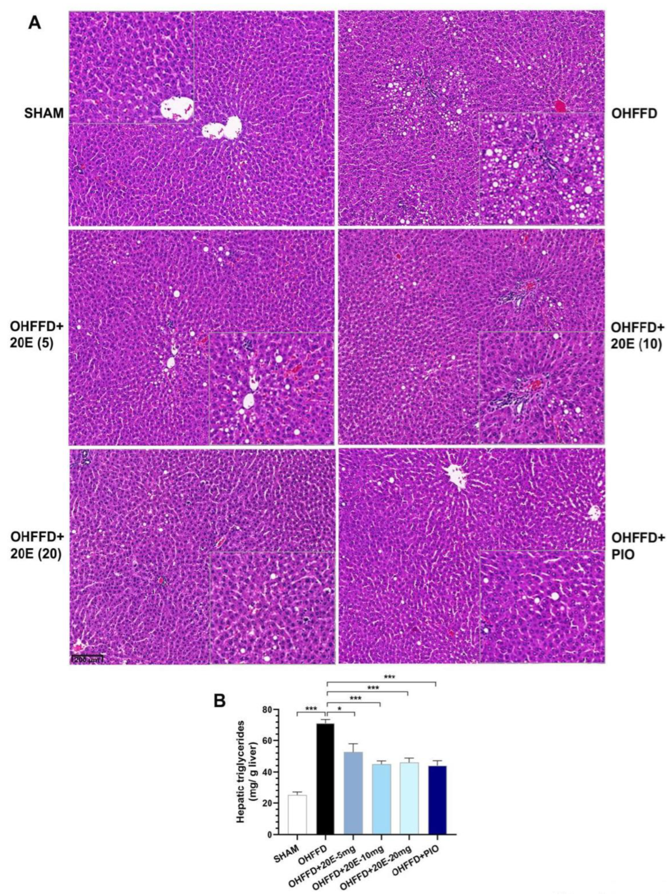 Biomedicines 11 02071 g002 Biomedicines 11 02071 g002