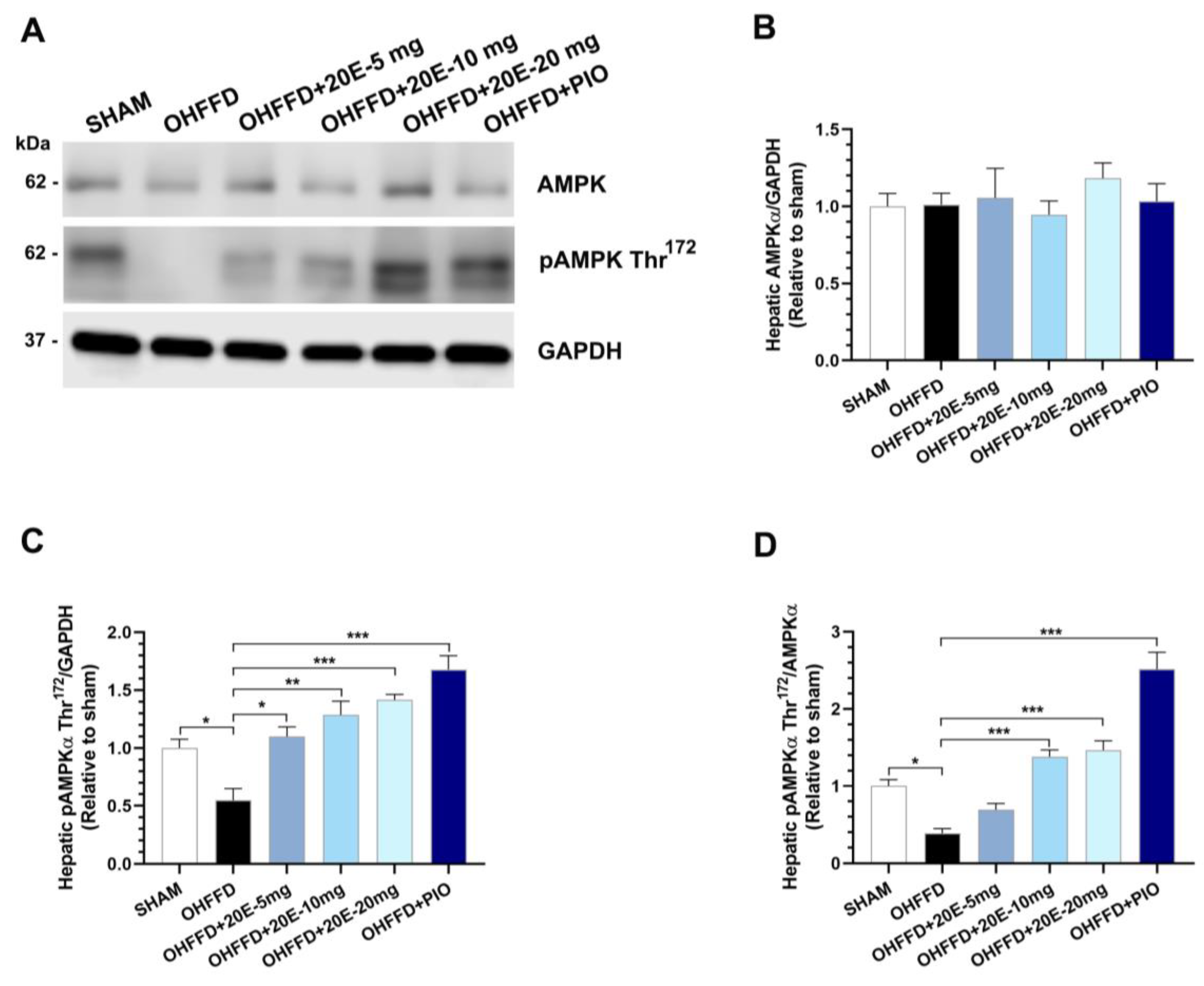 Biomedicines 11 02071 g003 Biomedicines 11 02071 g003