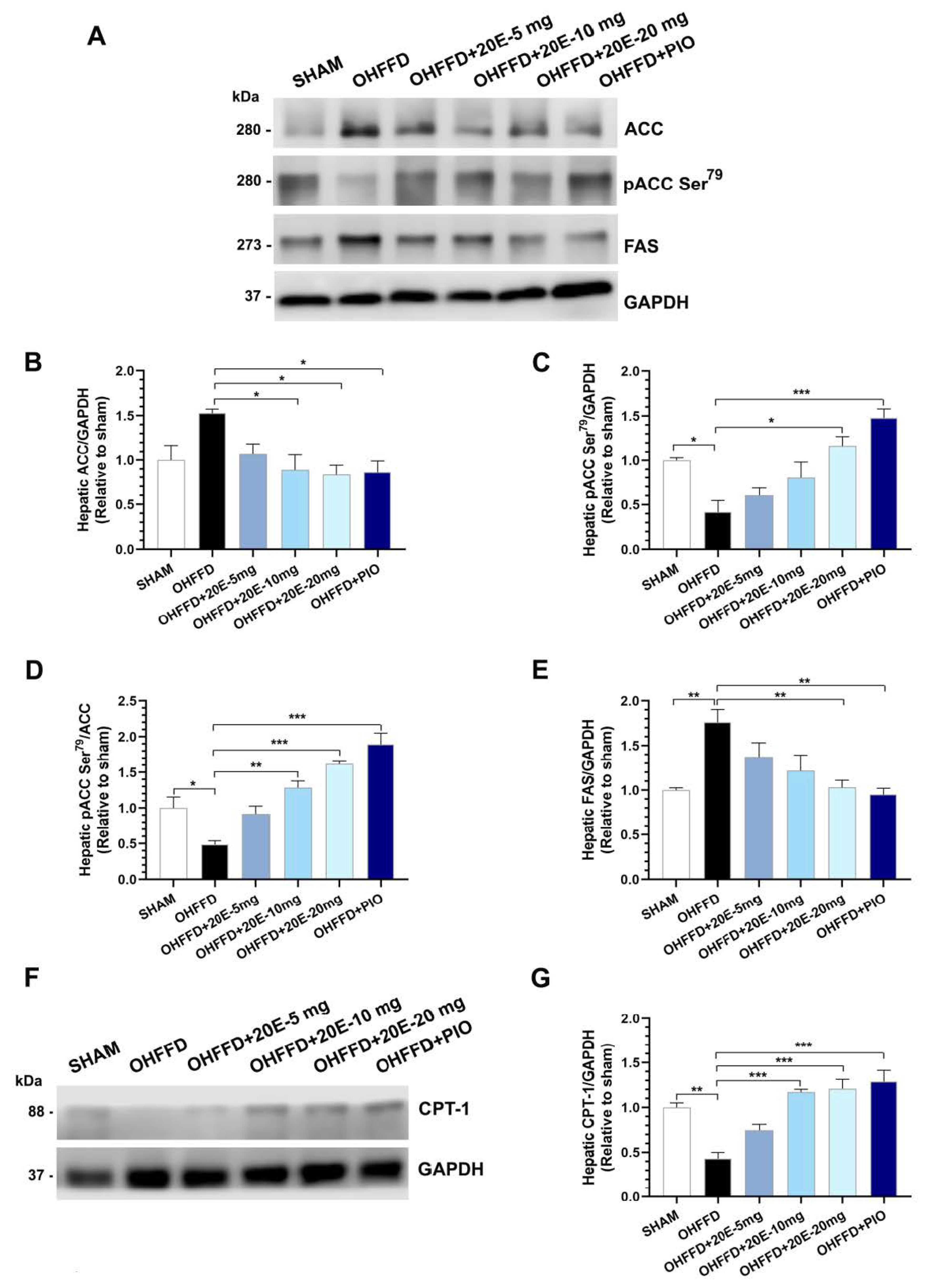 Biomedicines 11 02071 g004 Biomedicines 11 02071 g004