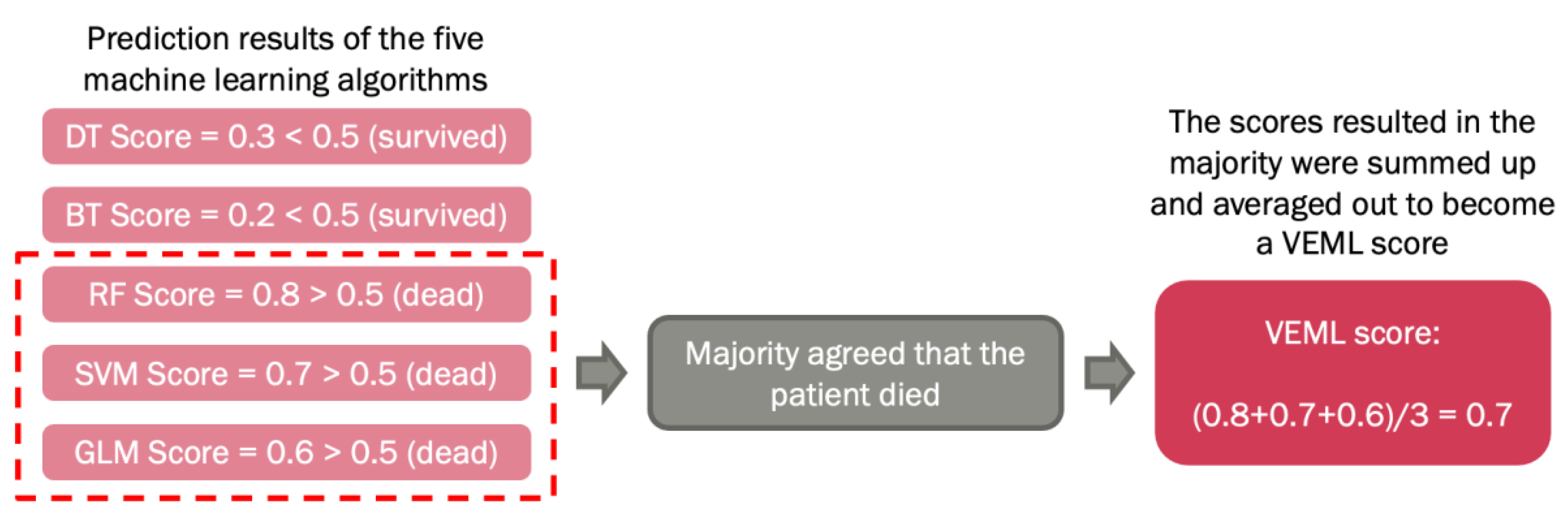 Biomedicines 11 02093 g001
