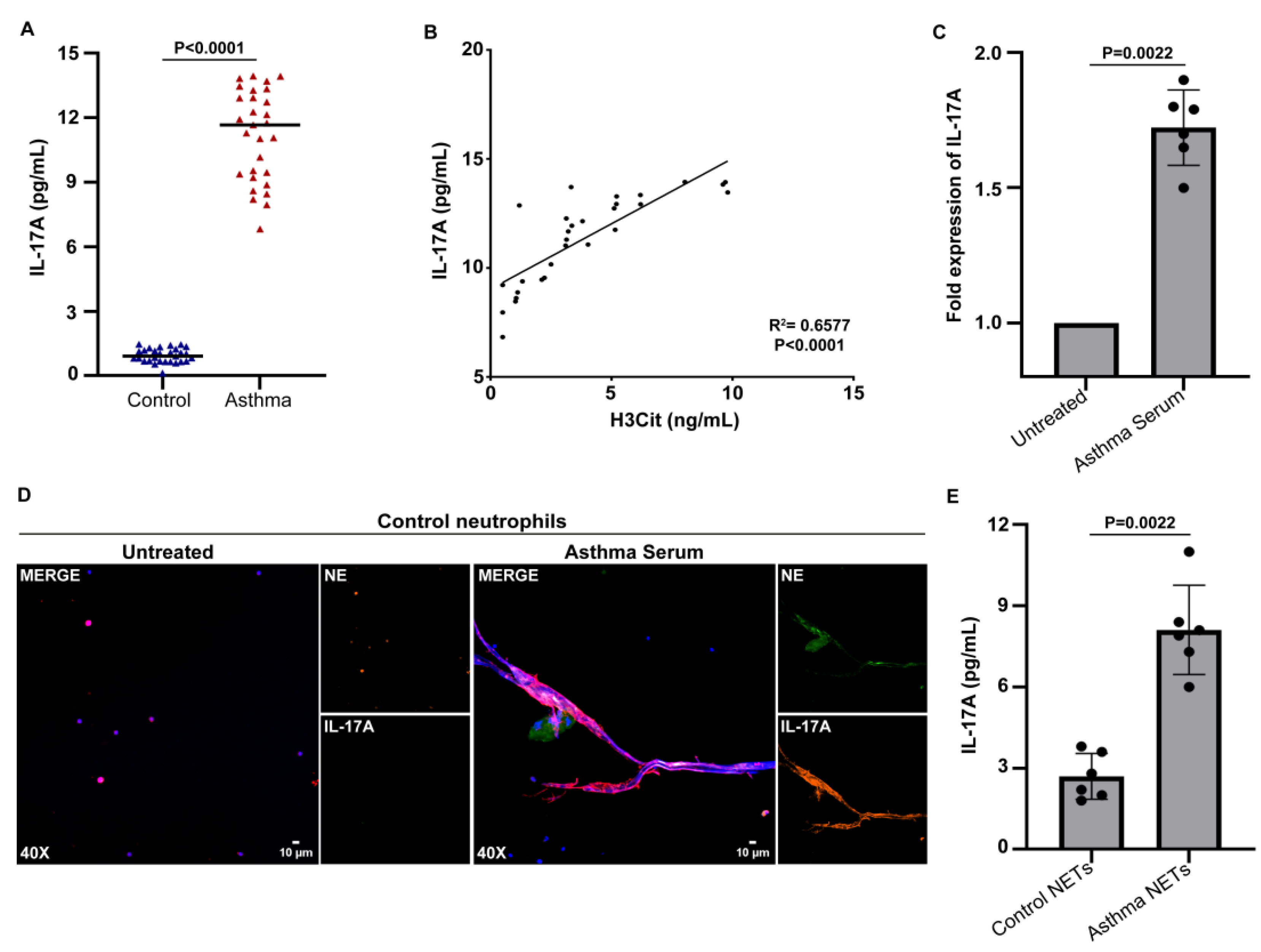 Biomedicines 11 02104 g002 Biomedicines 11 02104 g002