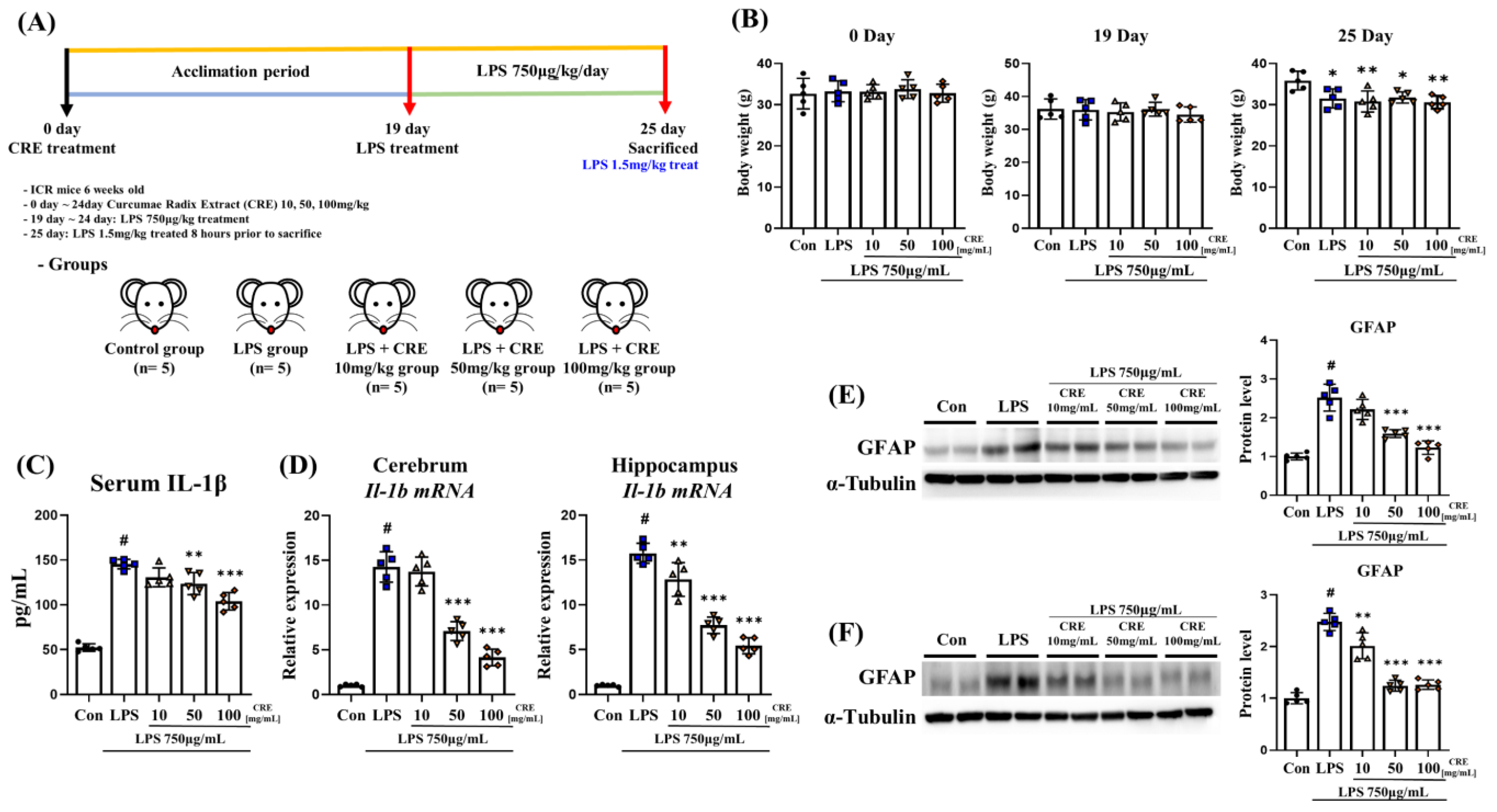 Biomedicines 11 02107 g001 Biomedicines 11 02107 g001