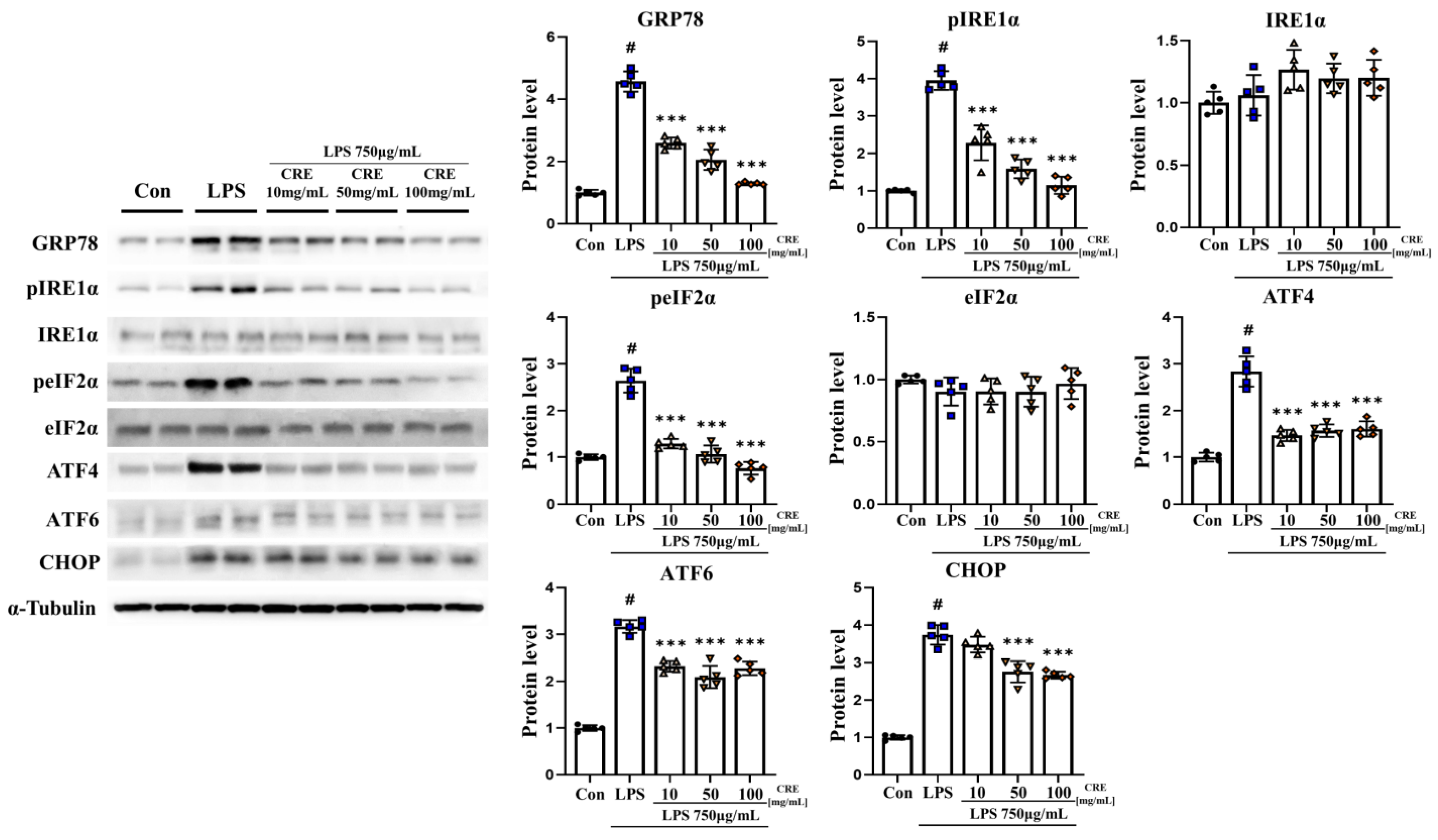 Biomedicines 11 02107 g003 Biomedicines 11 02107 g003