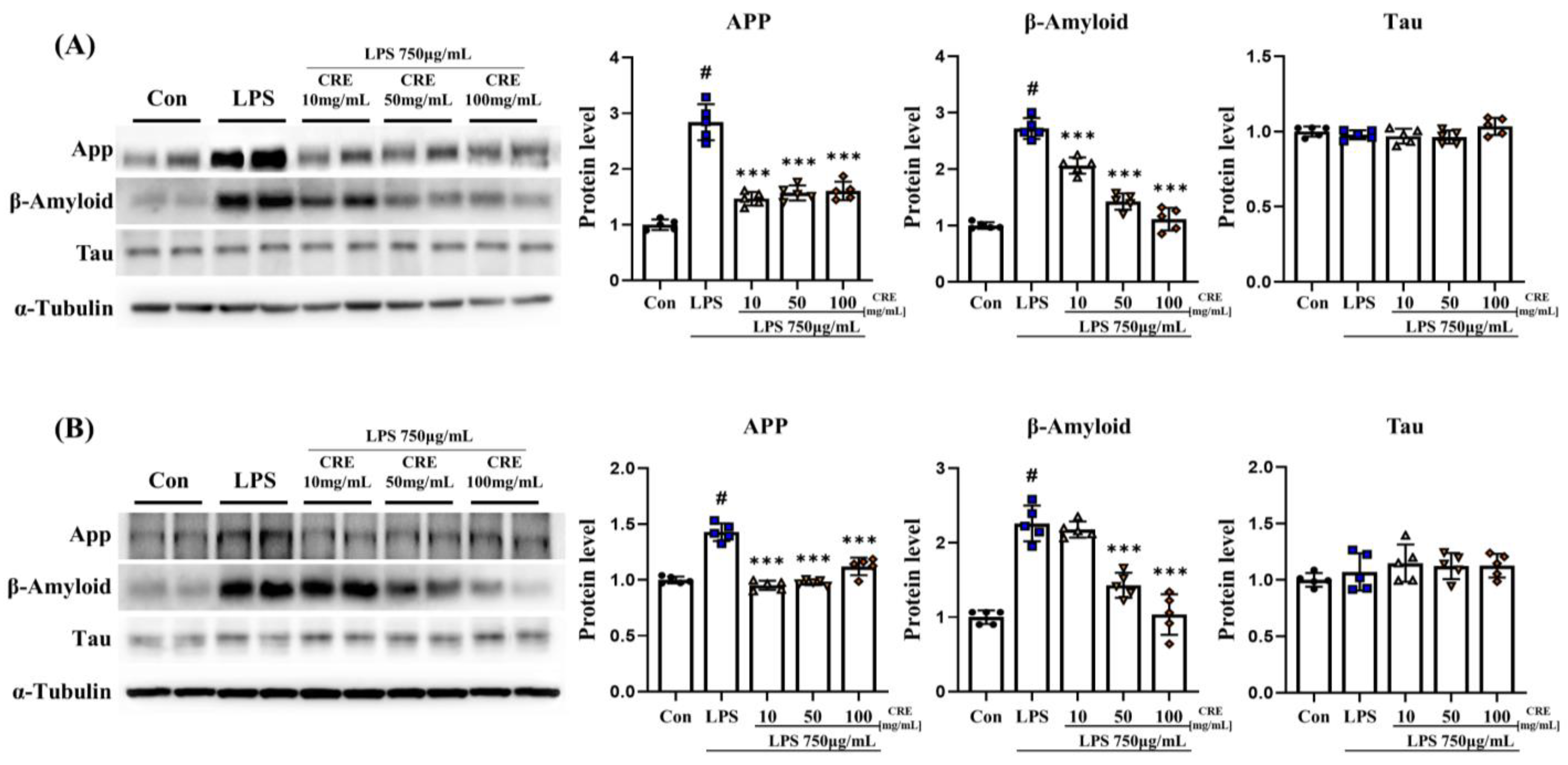 Biomedicines 11 02107 g006 Biomedicines 11 02107 g006
