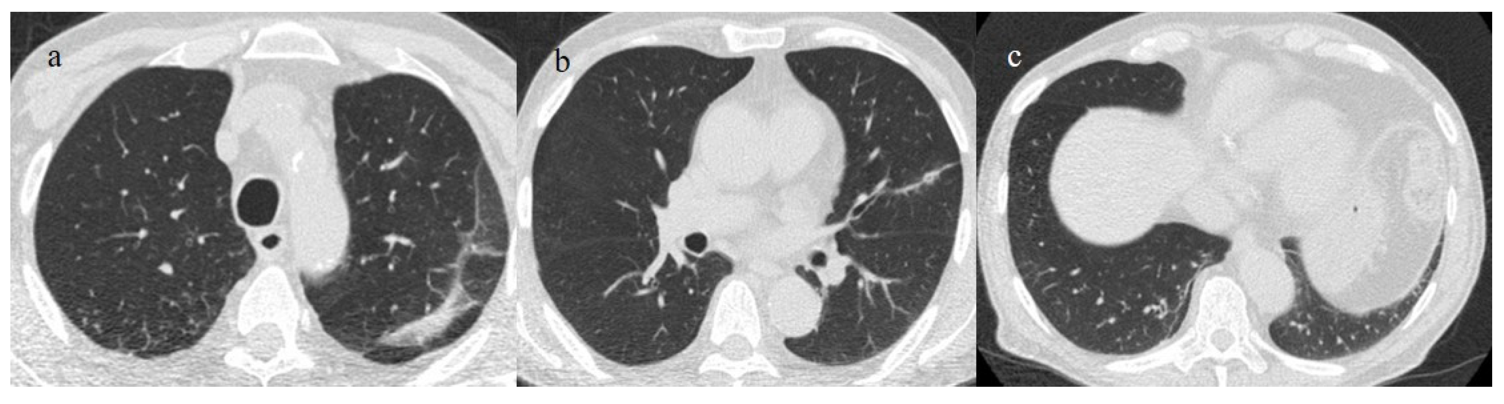 Biomedicines 11 02113 g019 Biomedicines 11 02113 g019