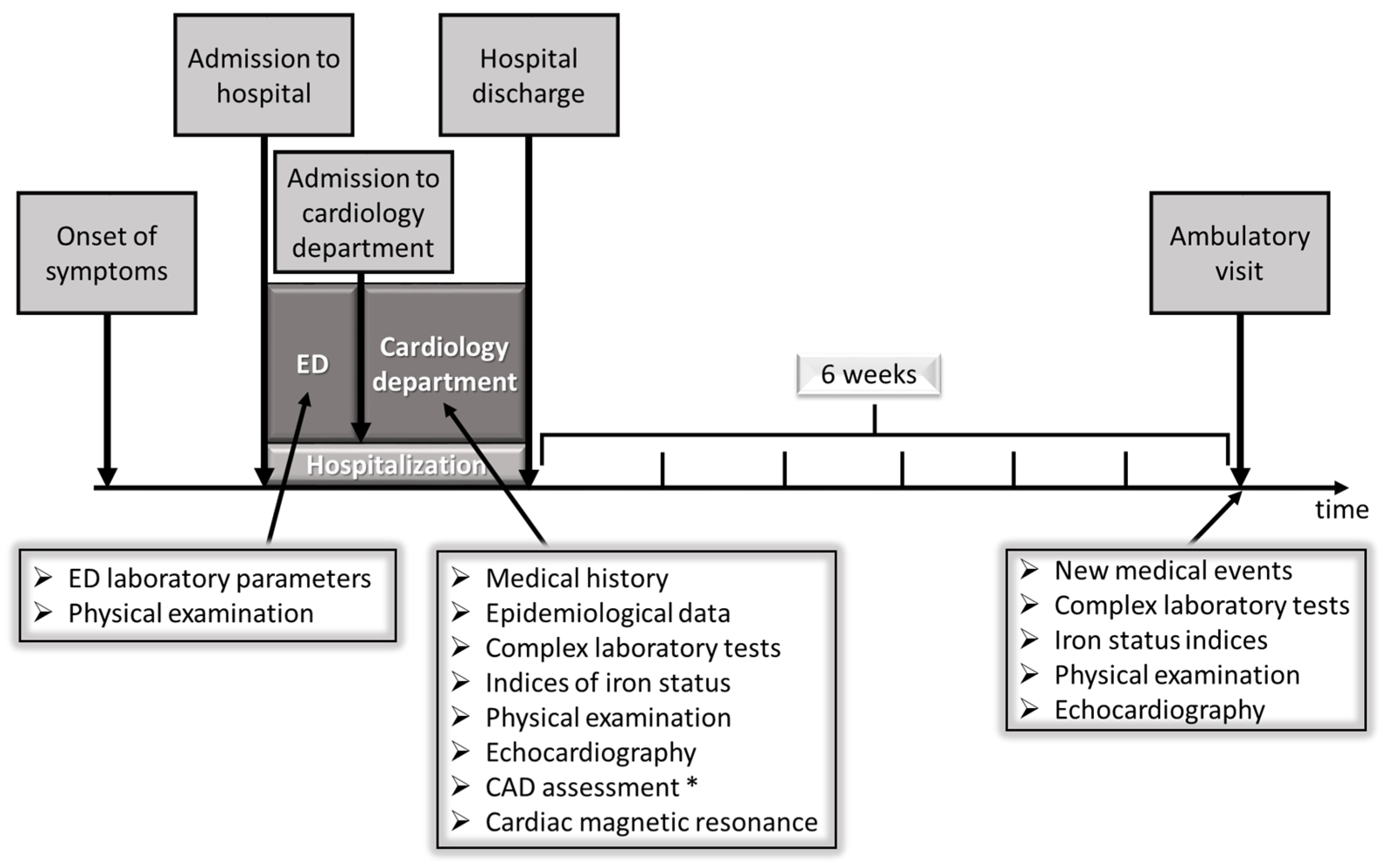 Biomedicines | Free Full-Text | Iron Status and Short-Term