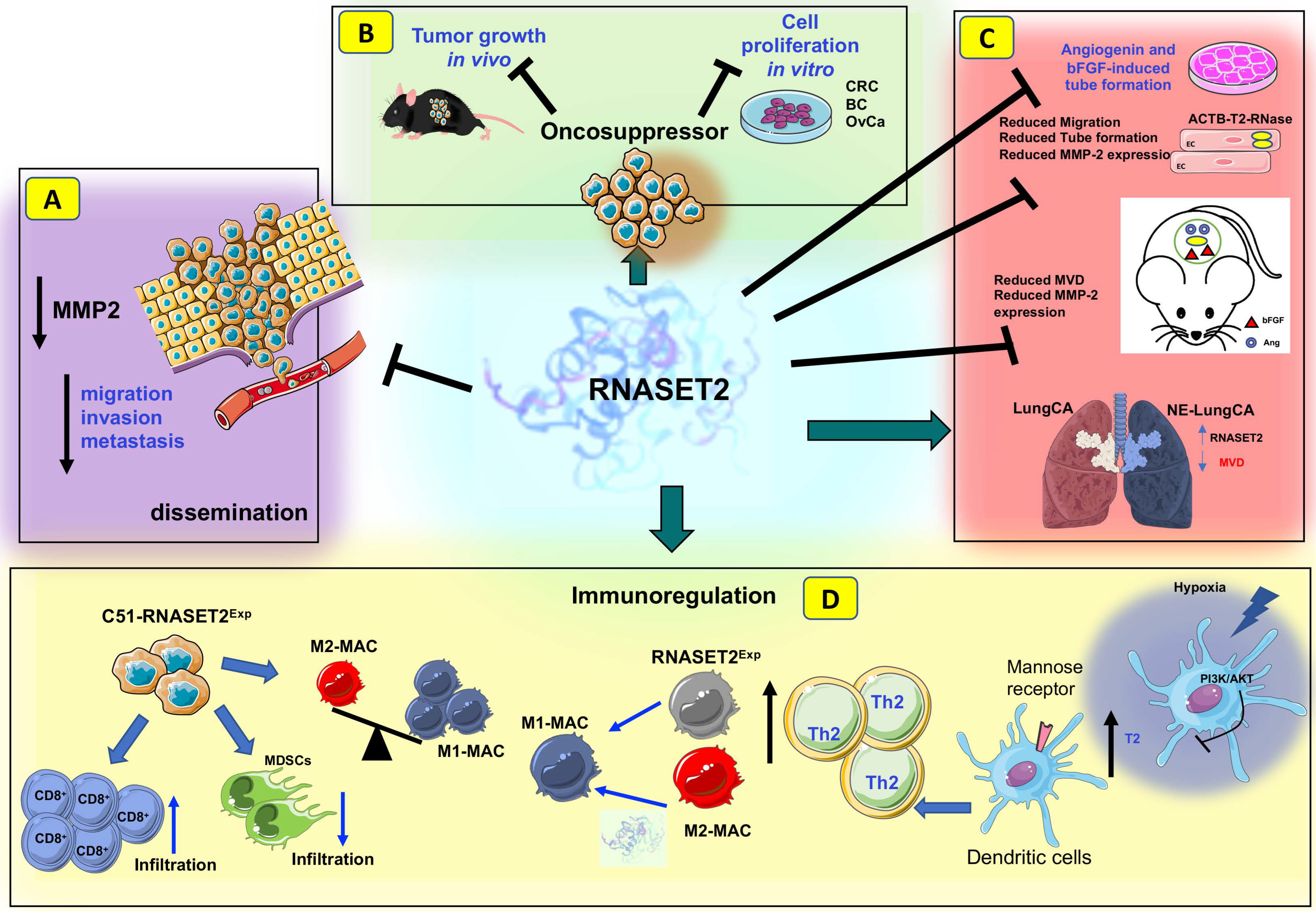 Biomedicines, Free Full-Text