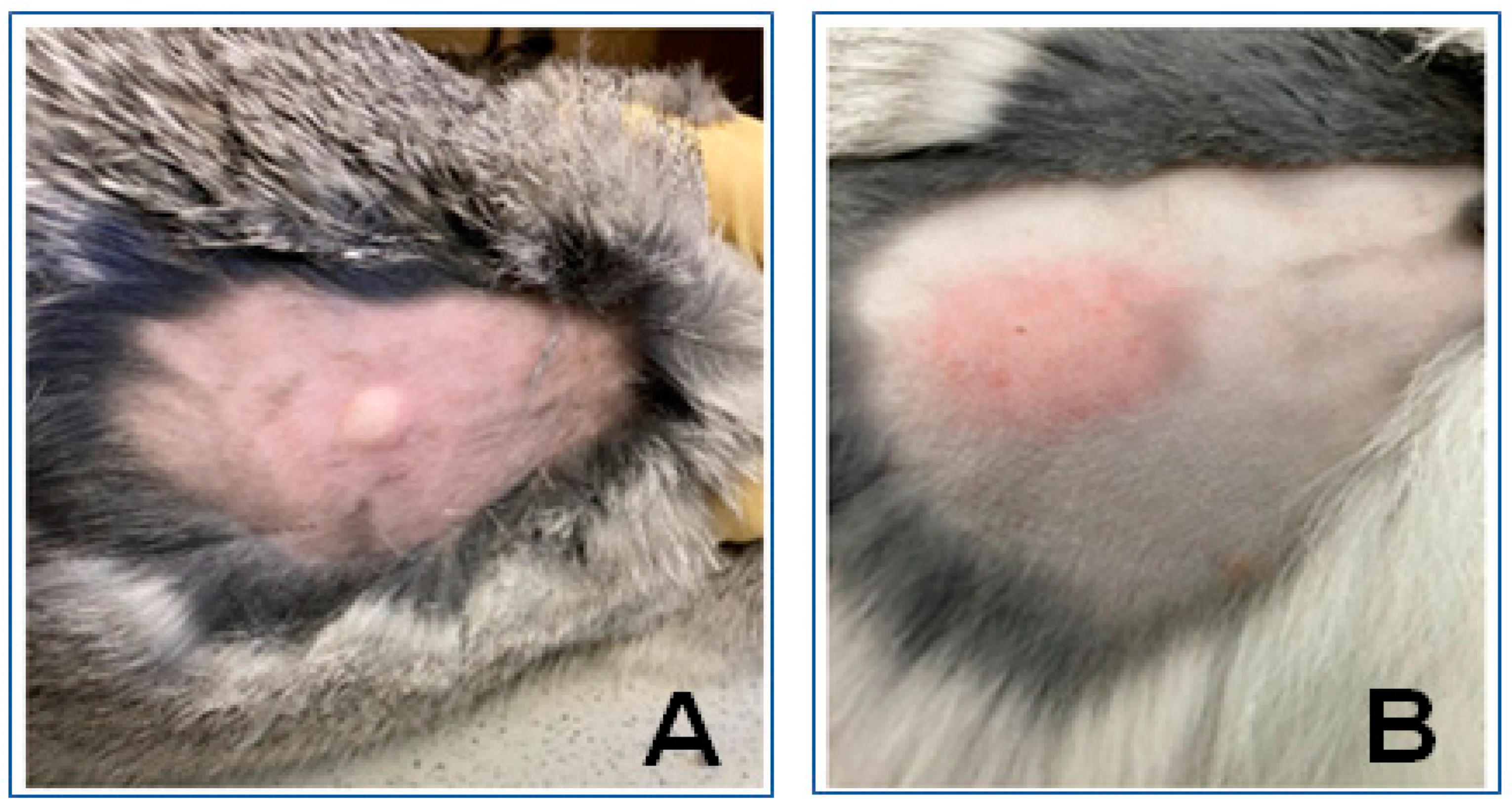 Biomedicines 11 02229 g001 Biomedicines 11 02229 g001