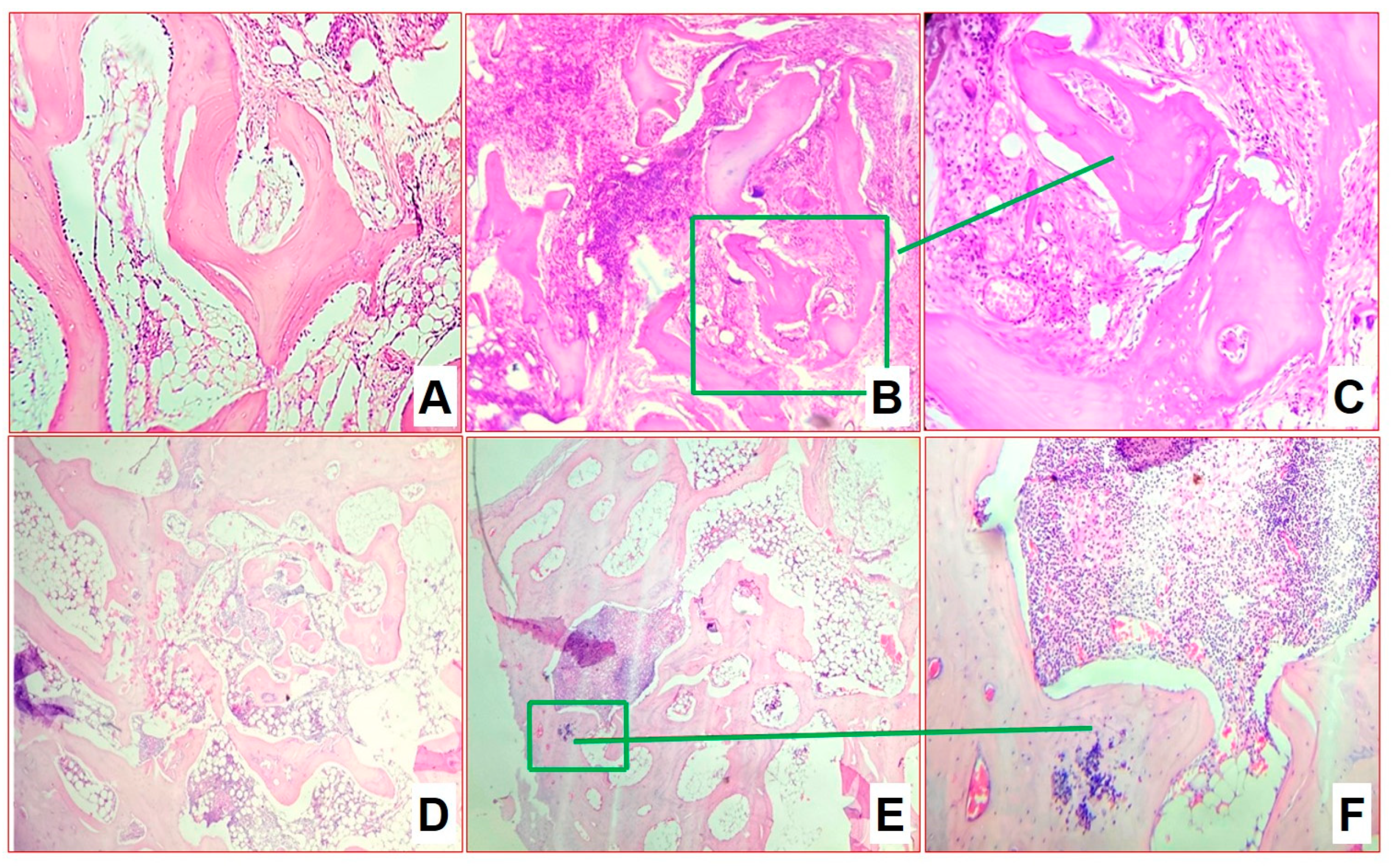 Biomedicines 11 02229 g006 Biomedicines 11 02229 g006