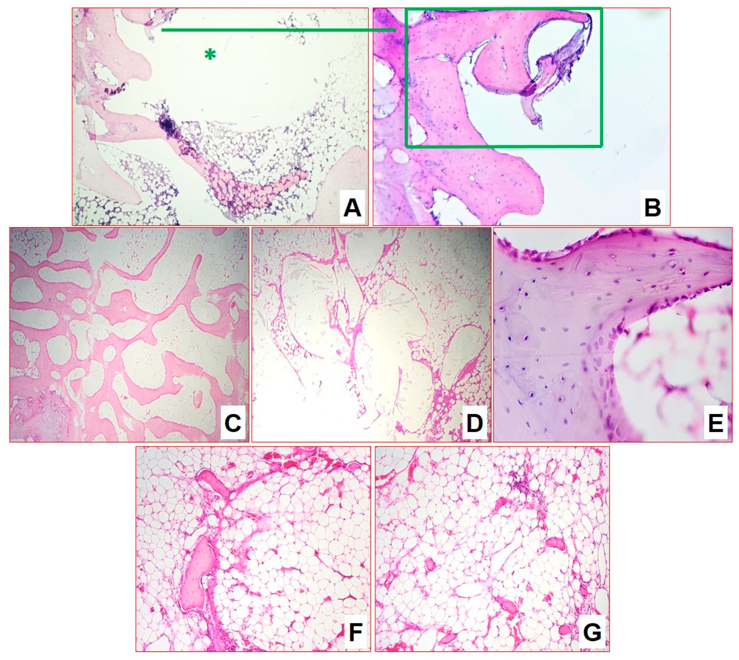 Biomedicines 11 02229 g009 Biomedicines 11 02229 g009