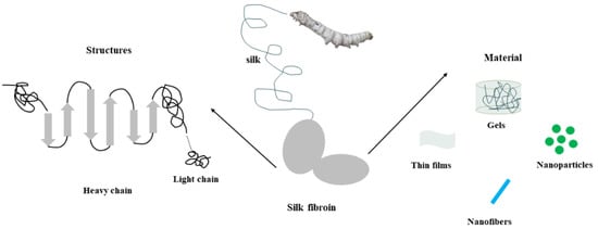 Silk fibroin scaffolds for common cartilage injuries