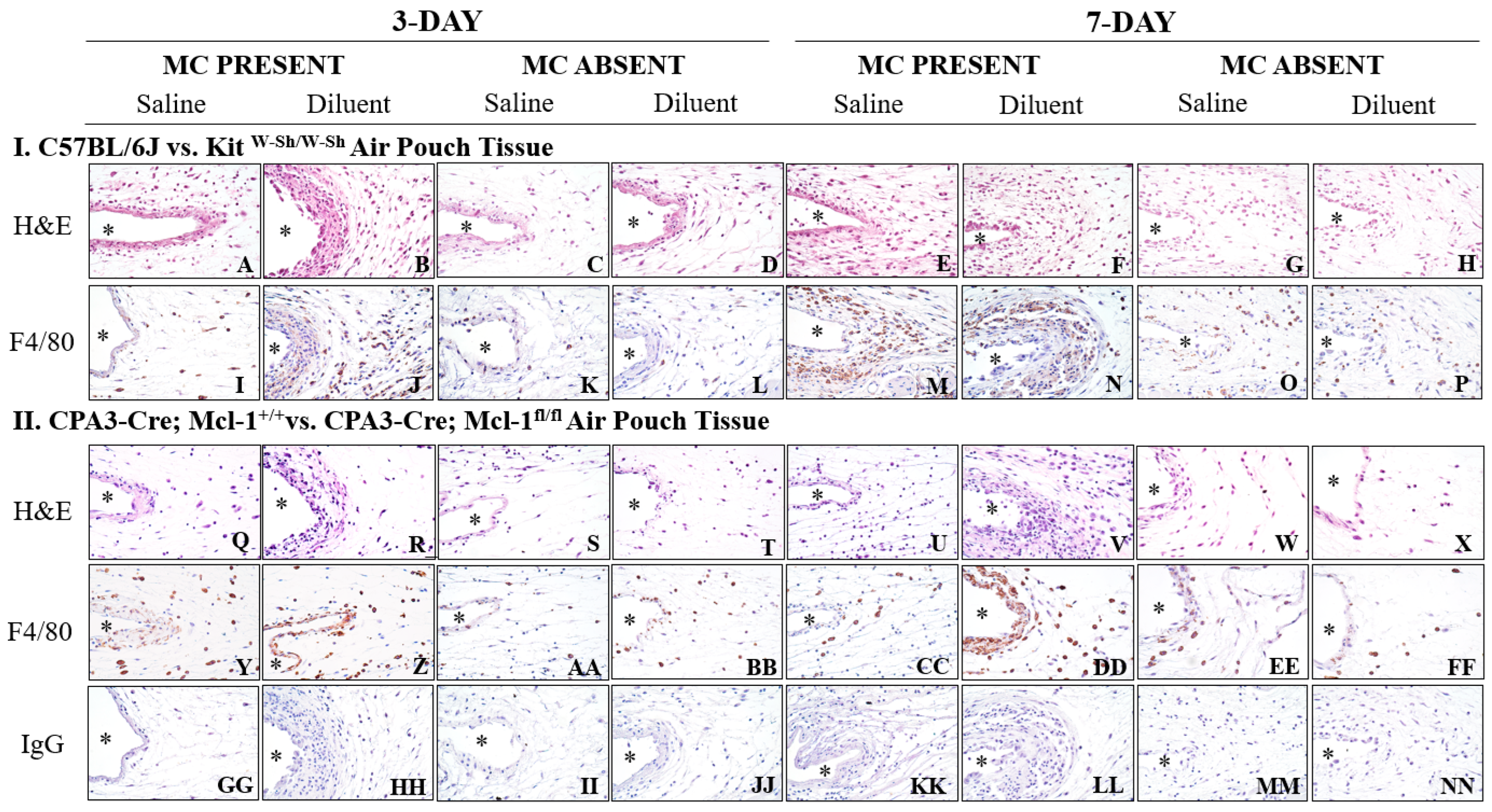 Biomedicines 11 02258 g005