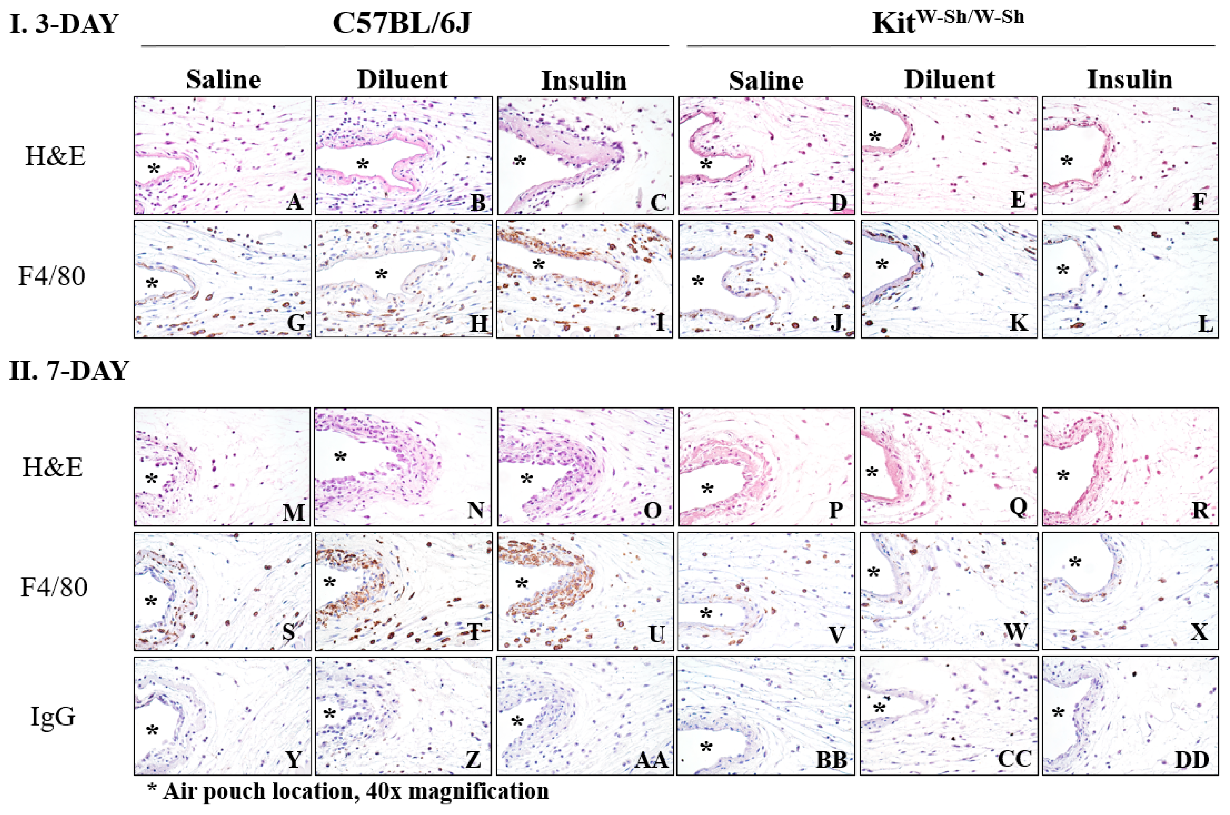 Biomedicines 11 02258 g007