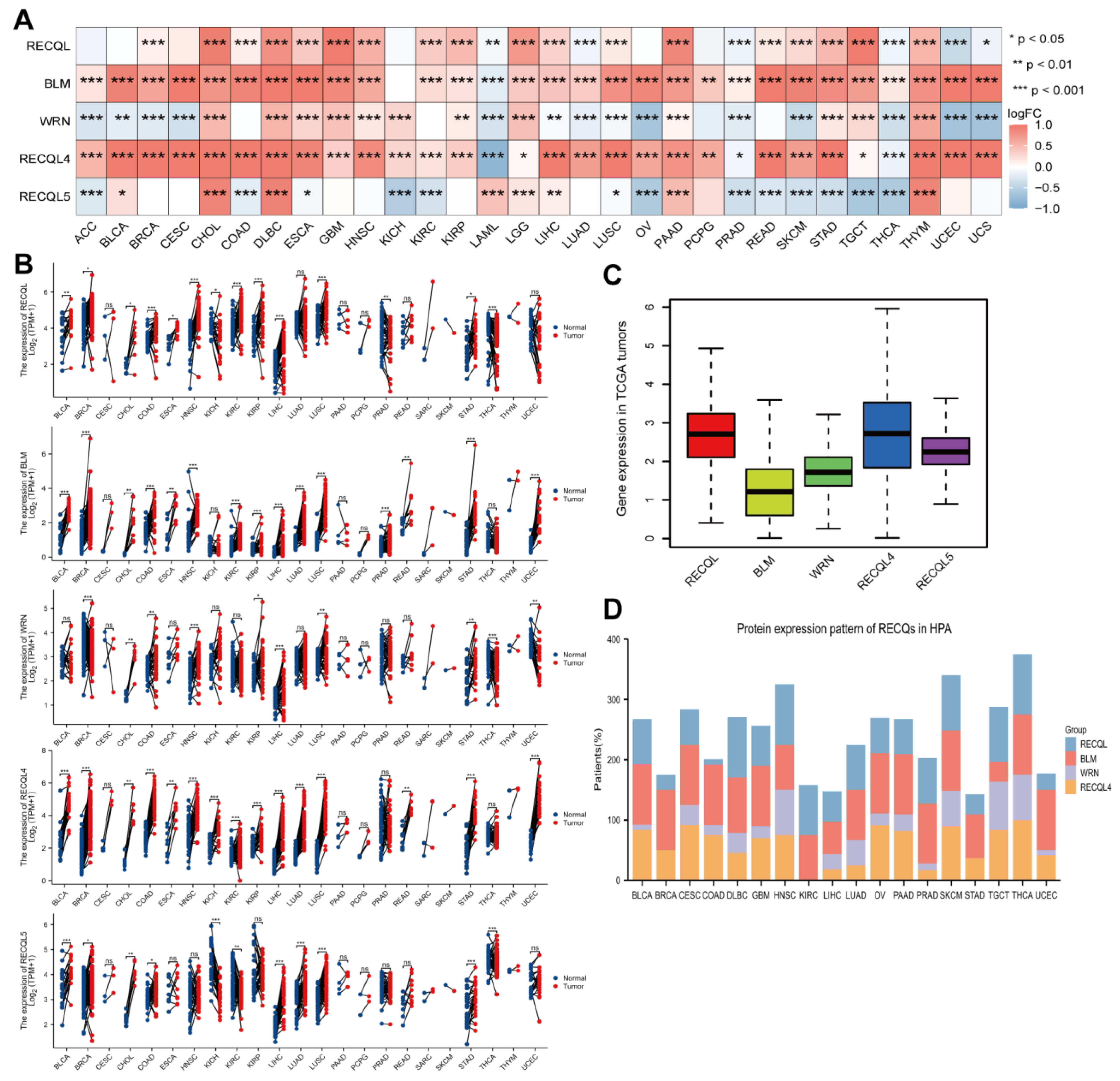Biomedicines 11 02318 g002