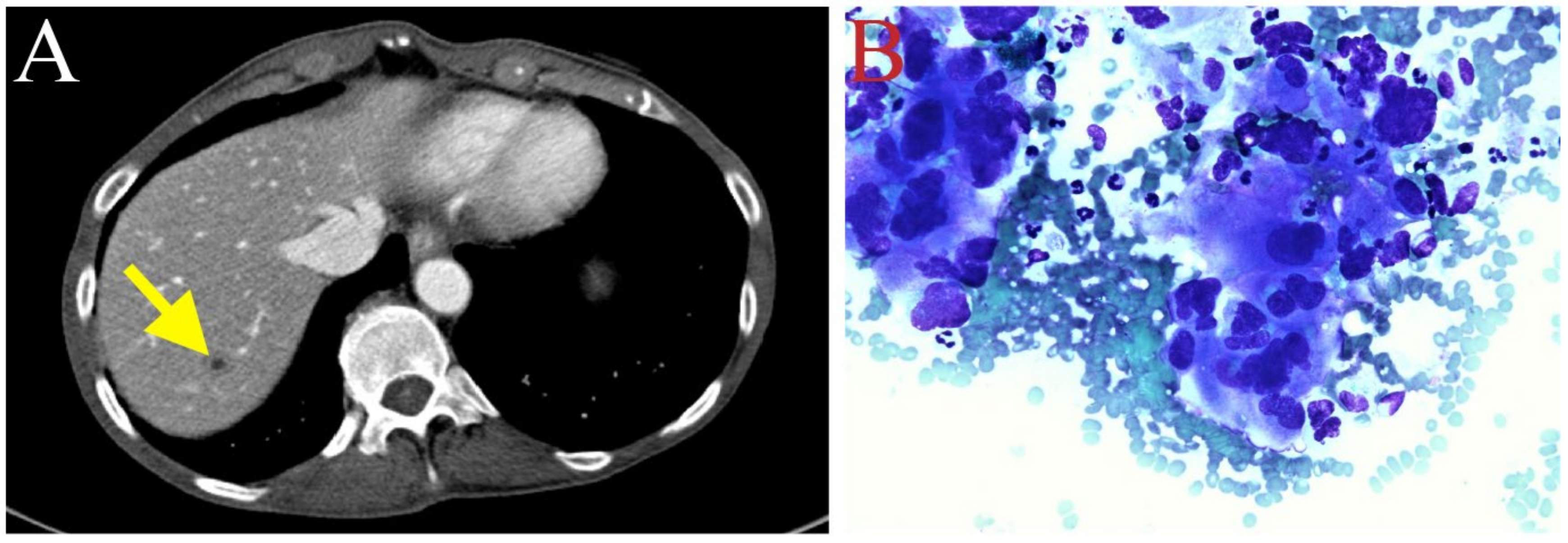 Biomedicines 11 02326 g003
