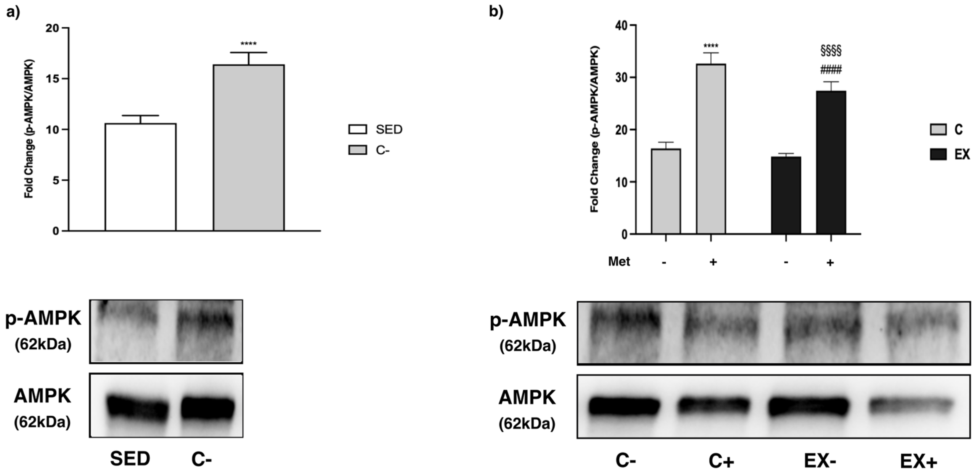 Biomedicines 11 02334 g007