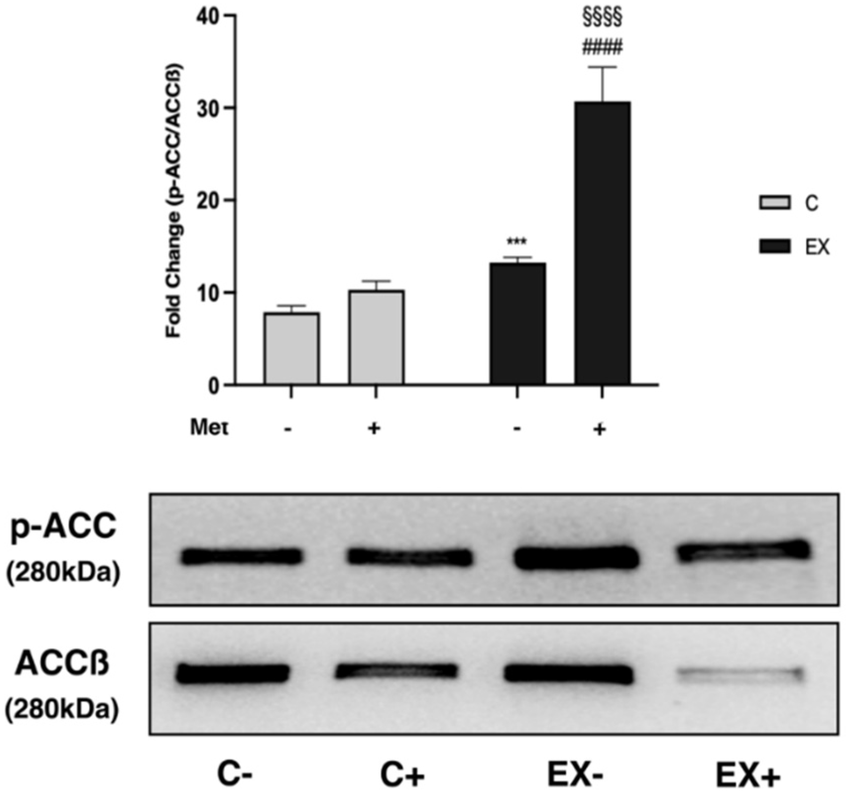 Biomedicines 11 02334 g008