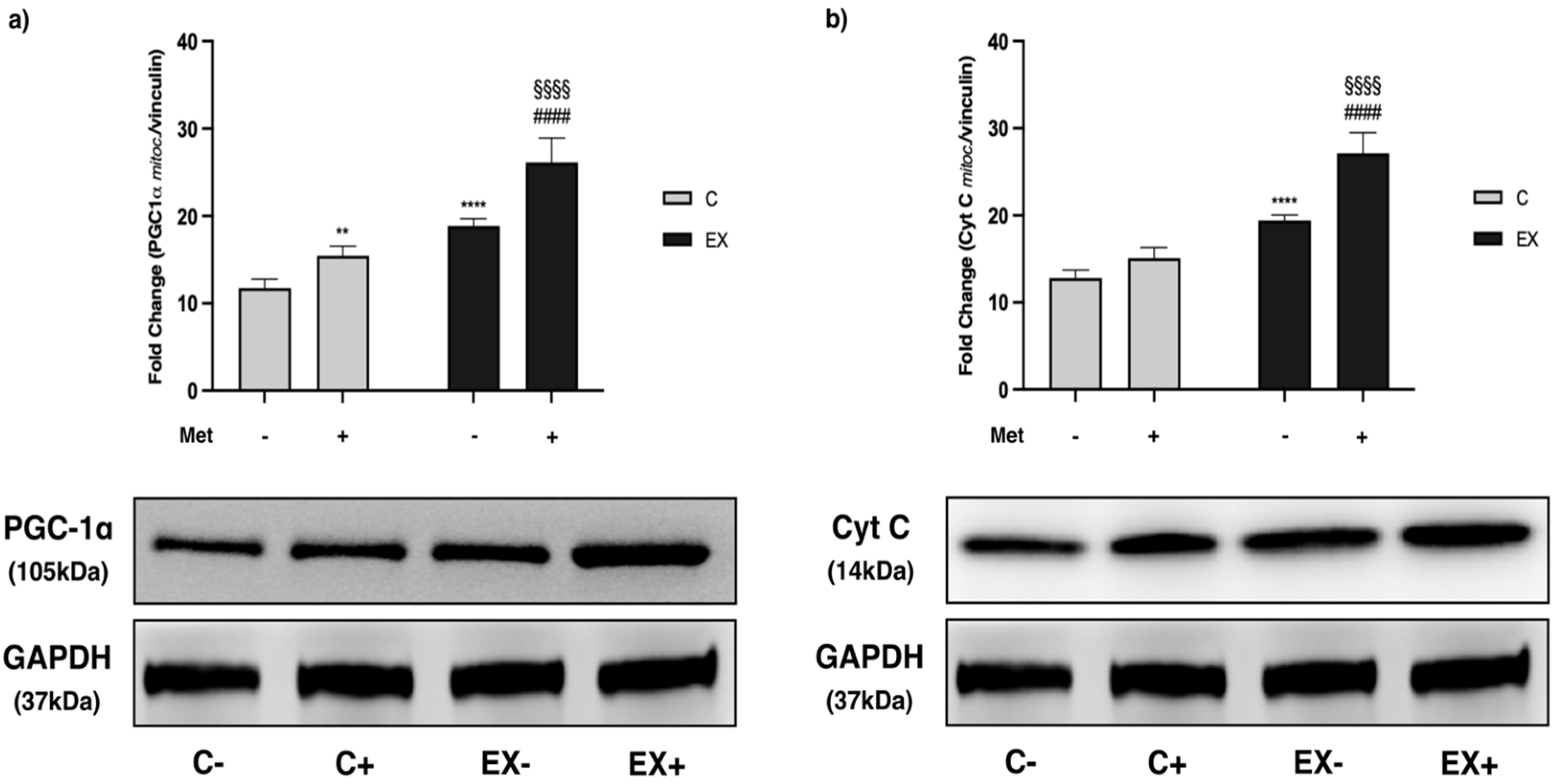 Biomedicines 11 02334 g009