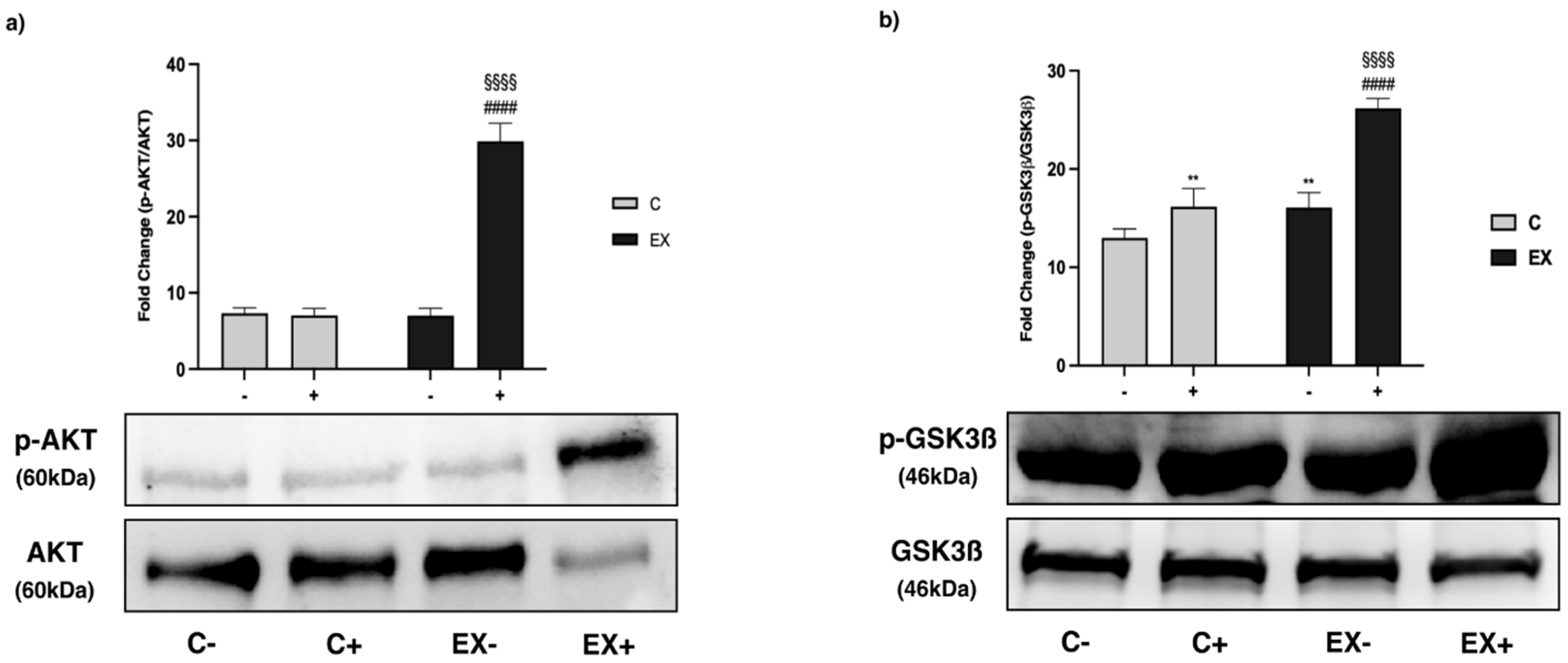 Biomedicines 11 02334 g010