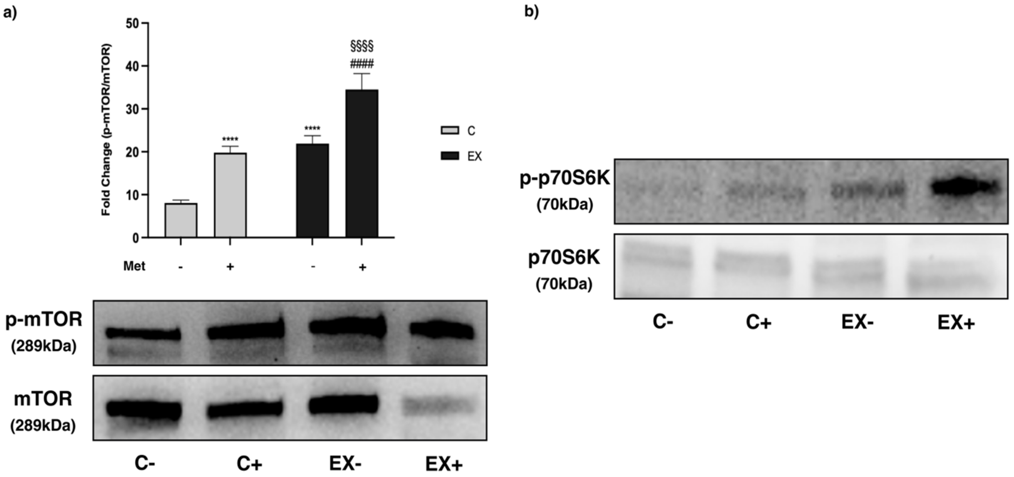 Biomedicines 11 02334 g011