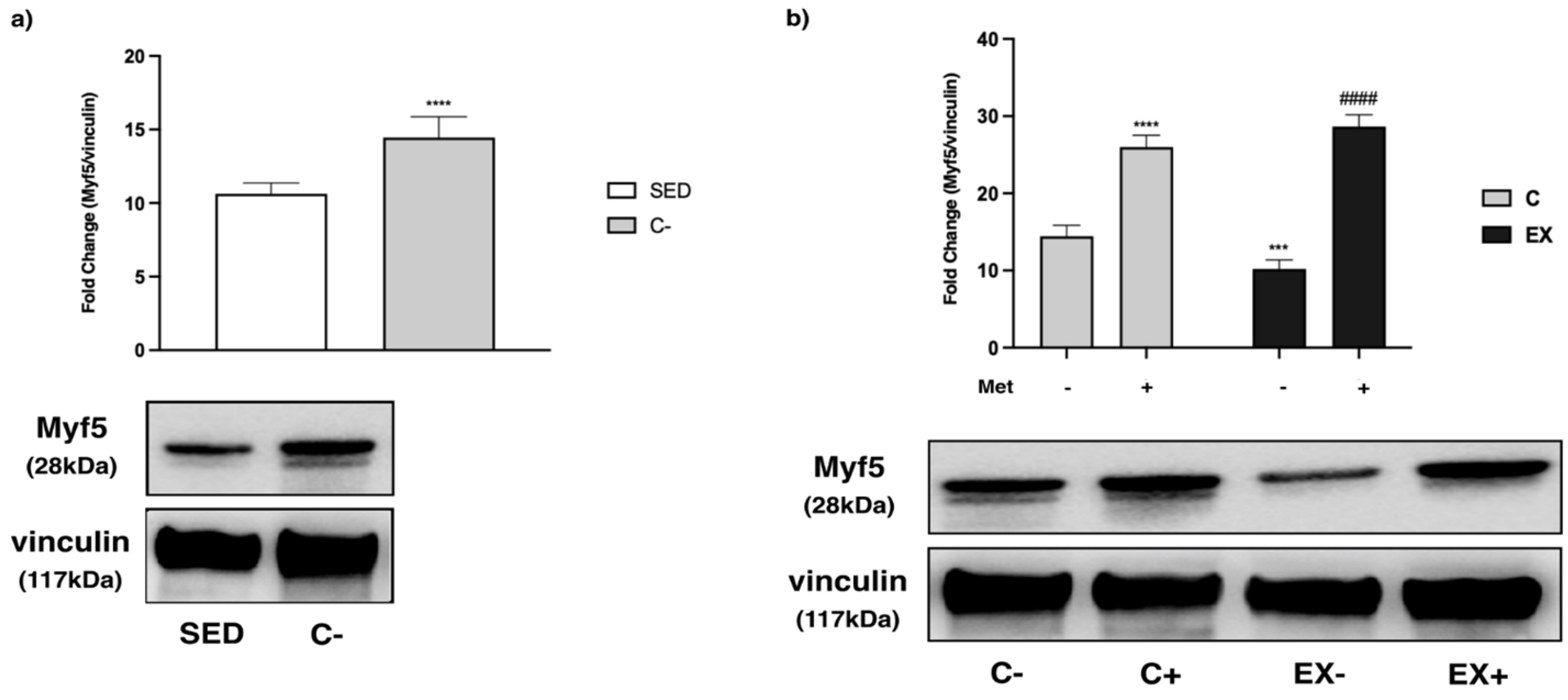 Biomedicines 11 02334 g013