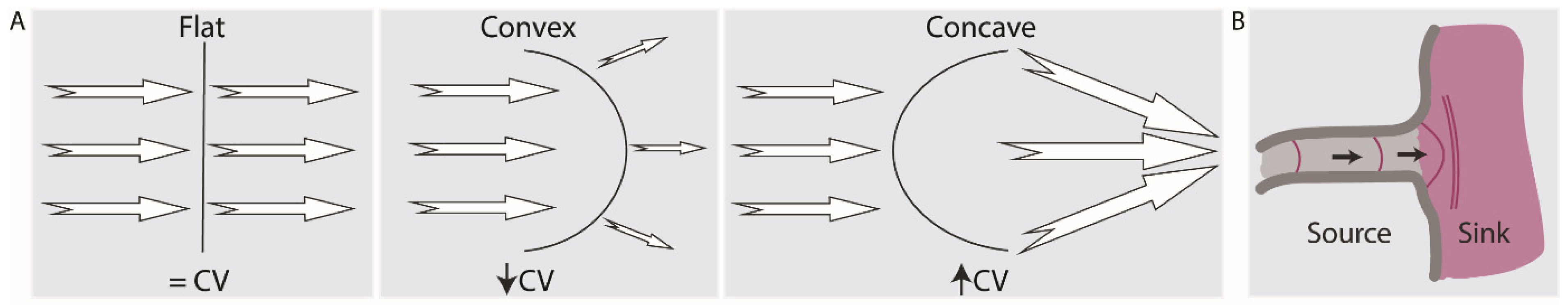 Biomedicines 11 02355 g006 Biomedicines 11 02355 g006