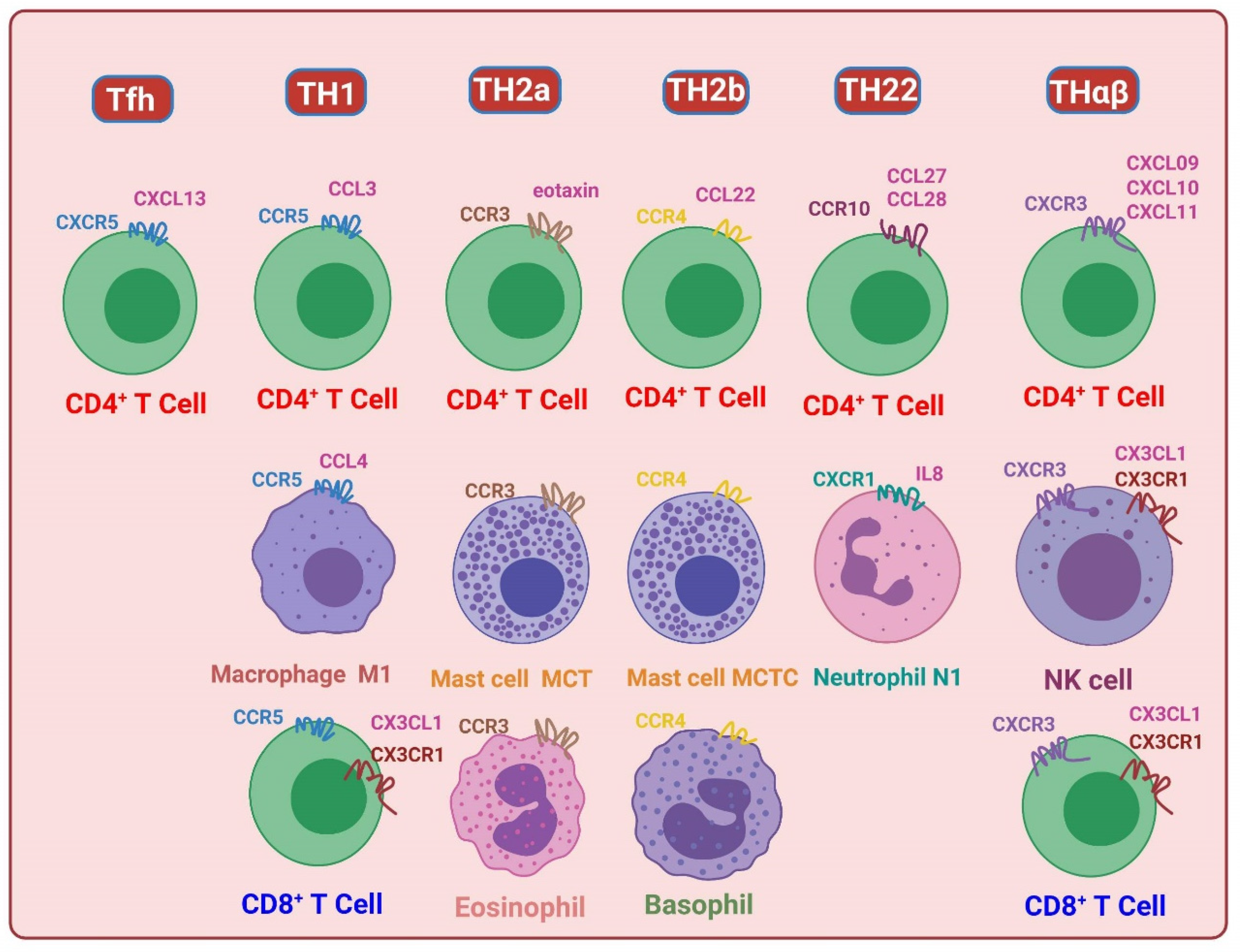 Biomedicines 11 02384 g003